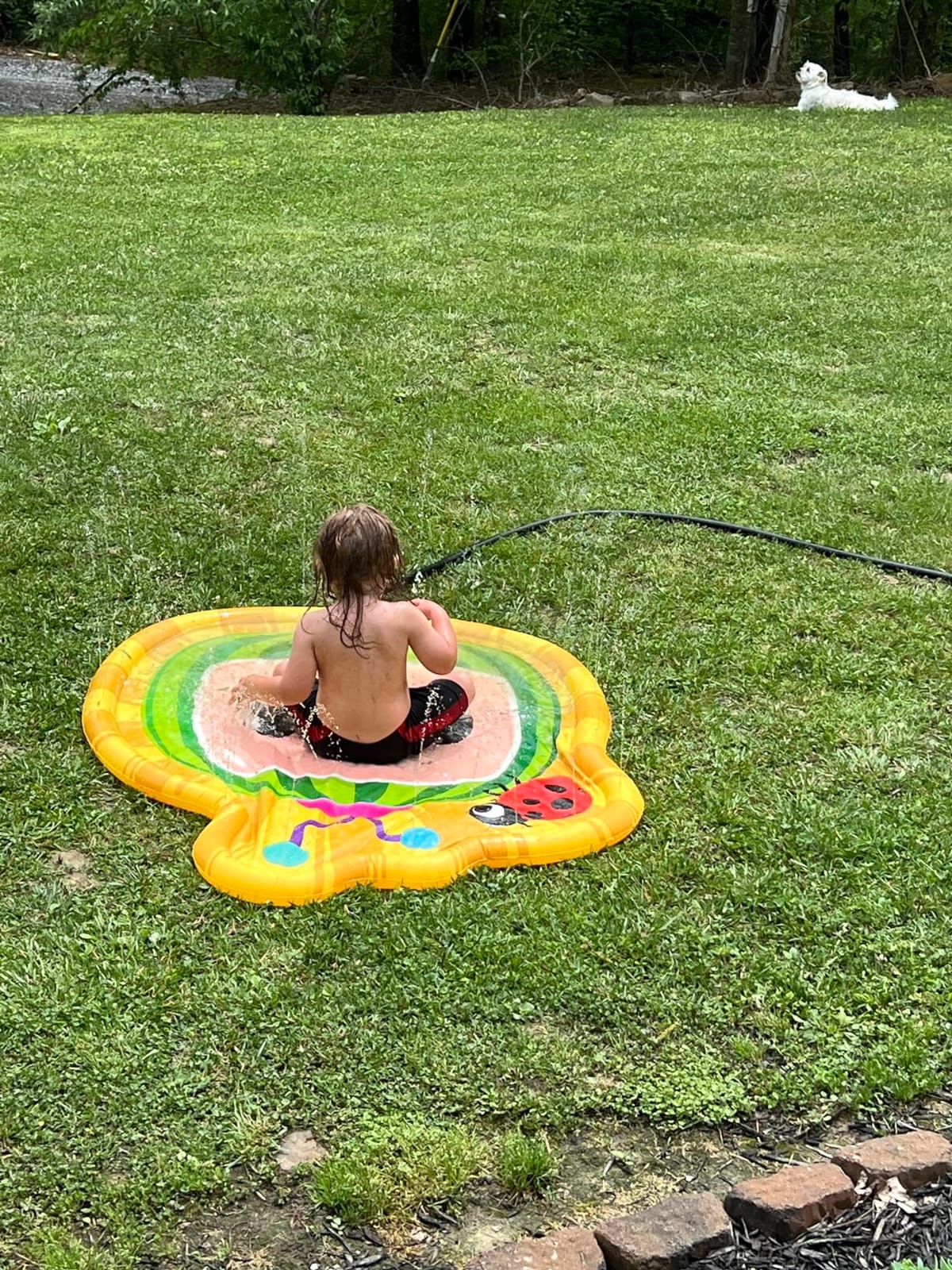 CoCoMelon 3-in-1 Splash Pad, Sprinkler for Kids and Baby Pool for Learning, Toddler Sprinkler Pool, 48