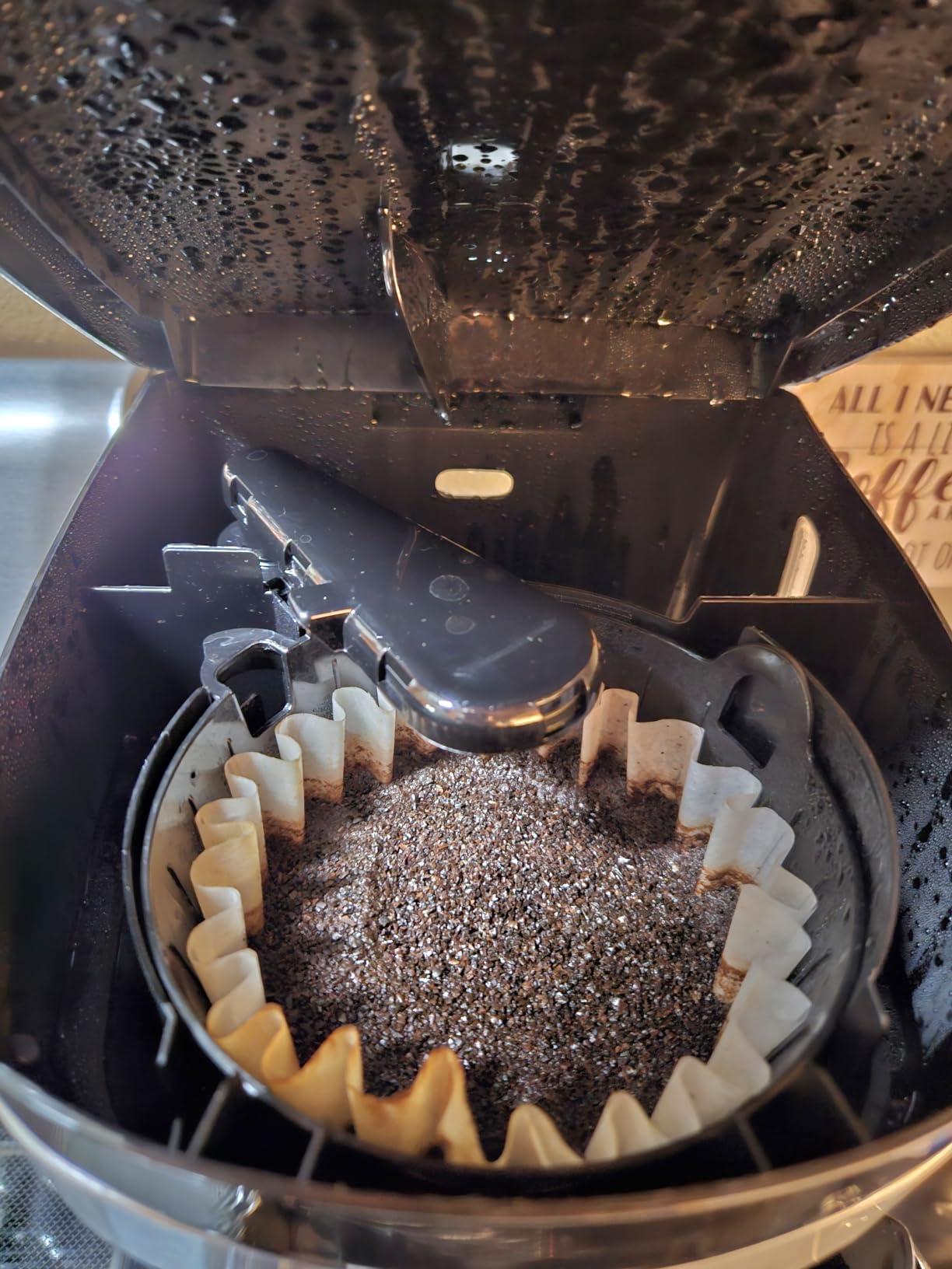 Hamilton Beach 12 Cup Programmable Drip Coffee Maker customer photo 2