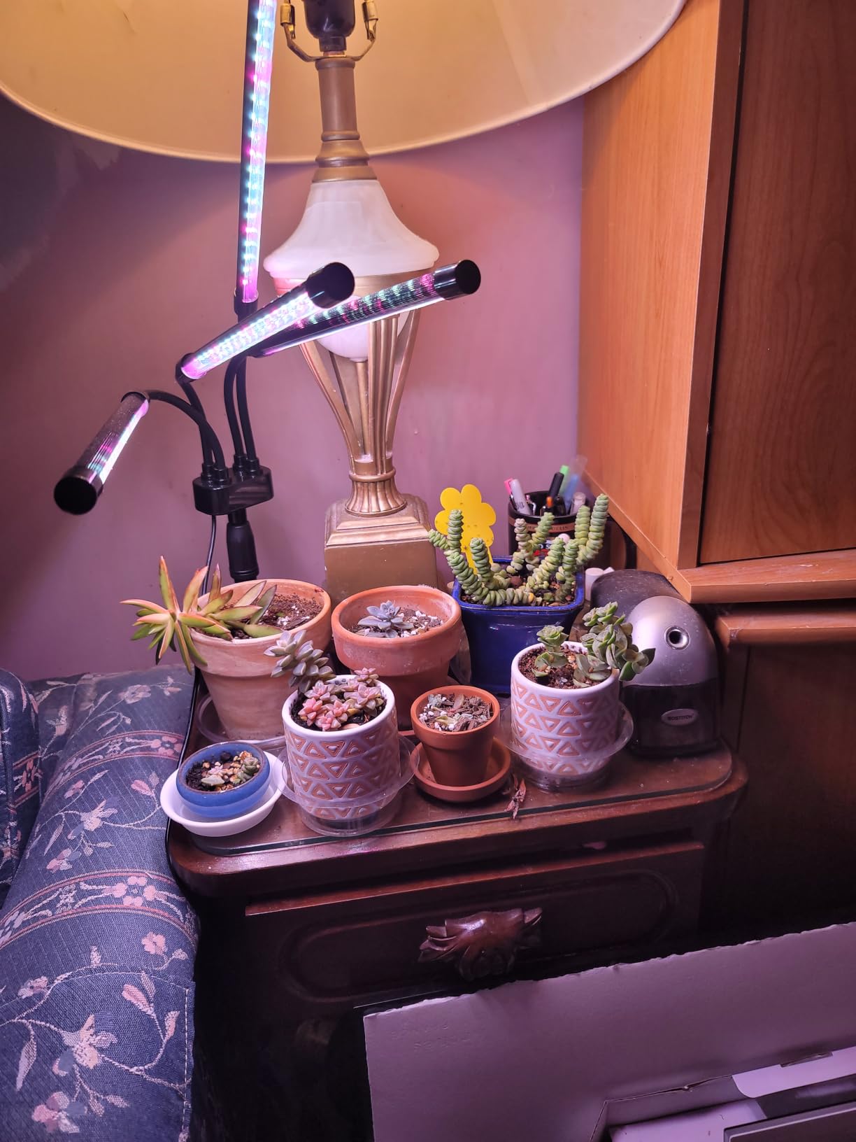 SYEIORAOM Grow Lights for Indoor Plants, Four Head LED Grow Light with Full Spectrum, Red White Spectrum for Indoor Plant Lamp, Adjustable Gooseneck, Suitable for Vegetation customer photo 2