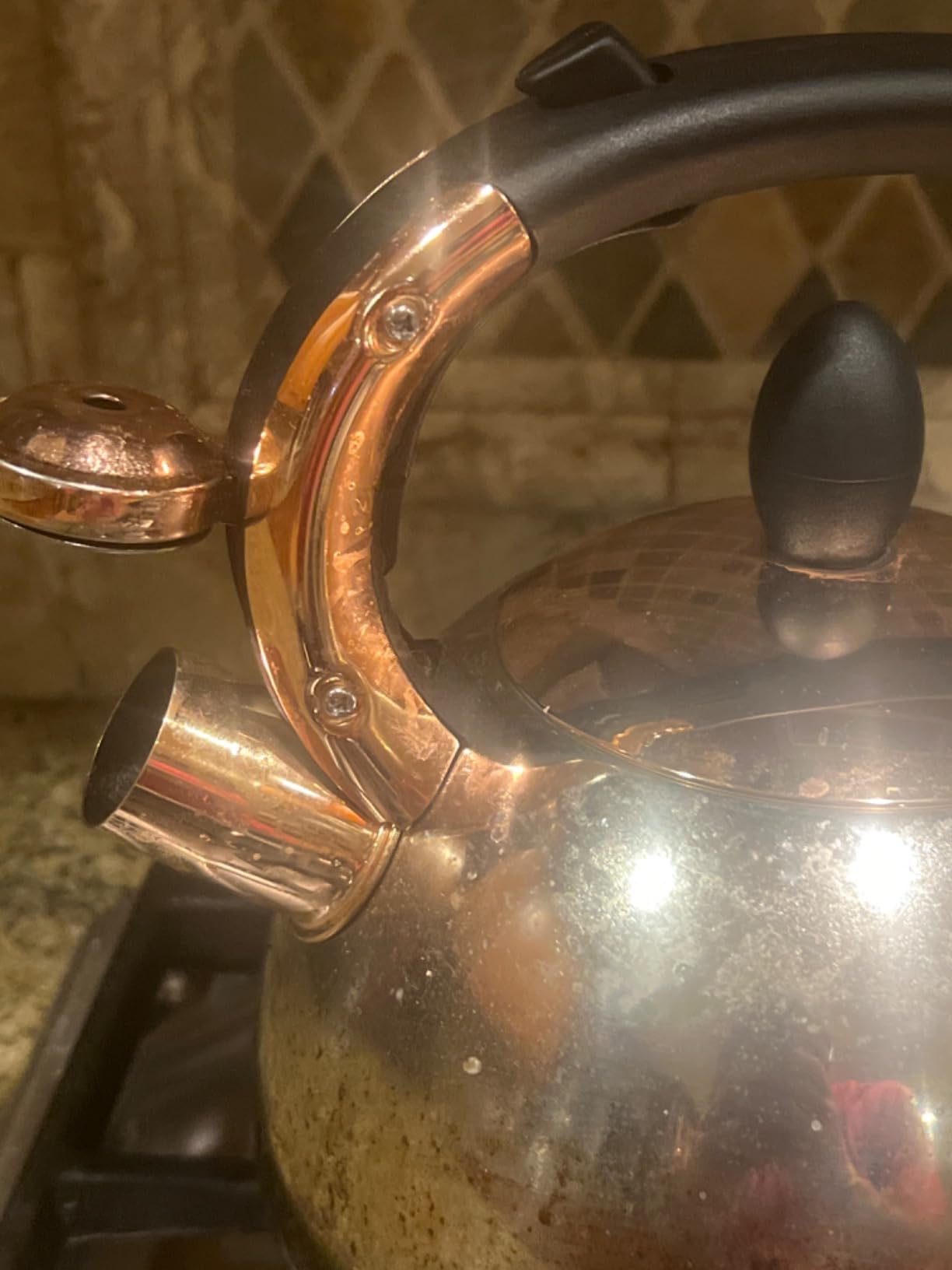 Stainless Steel Whistling Tea Kettle with Metal Capsulated Bottom for Quick Heat Distribution 2.8 Quart customer photo 2