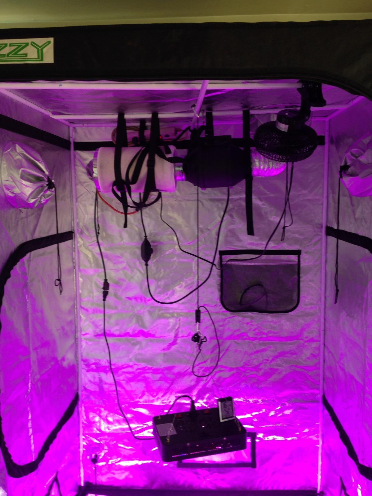 zazzy 2'x2' Grow Tent 24