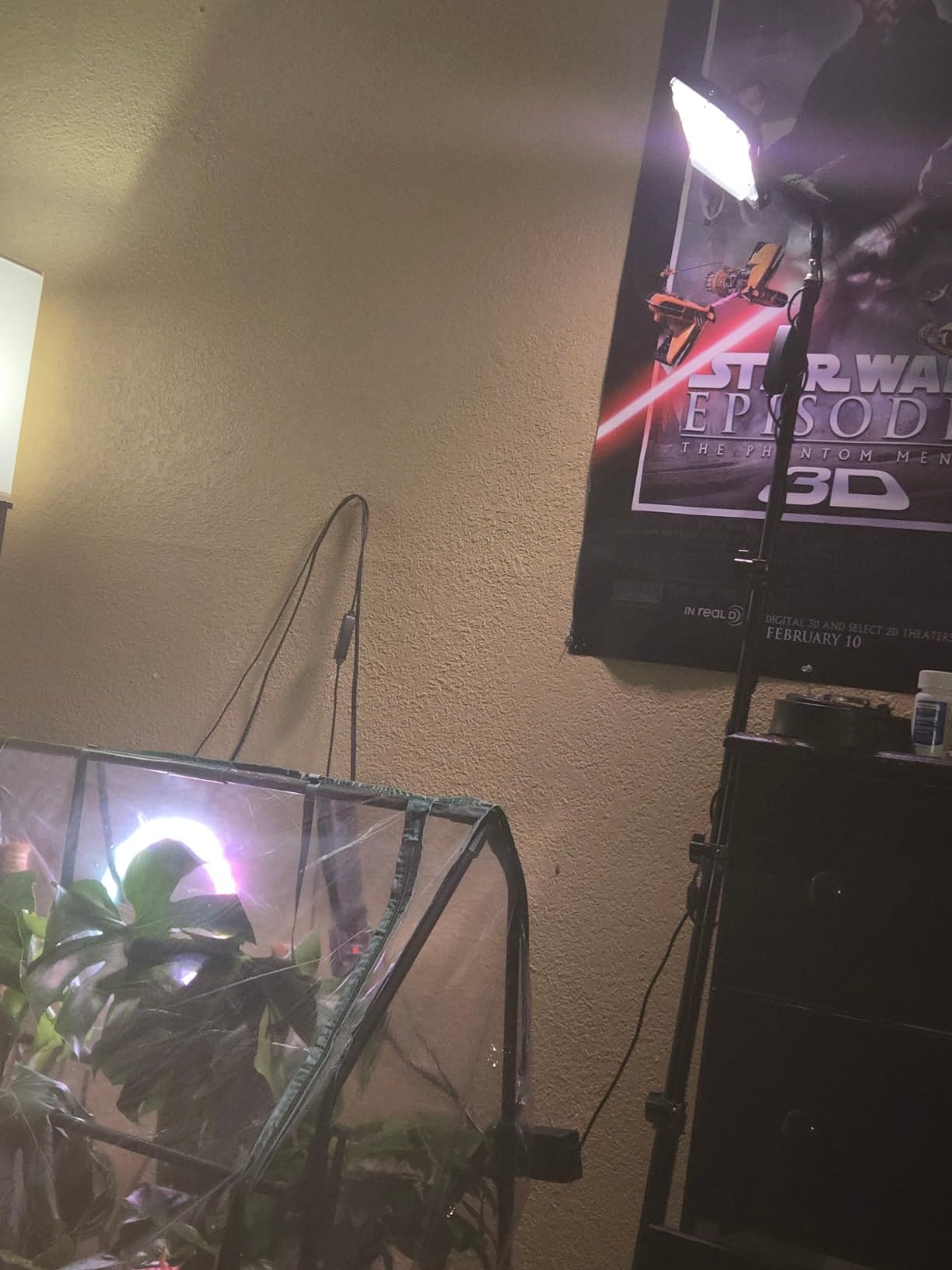 LBW Grow Light with Stand, Full Spectrum Floor Grow Light for Indoor Plants customer photo 1