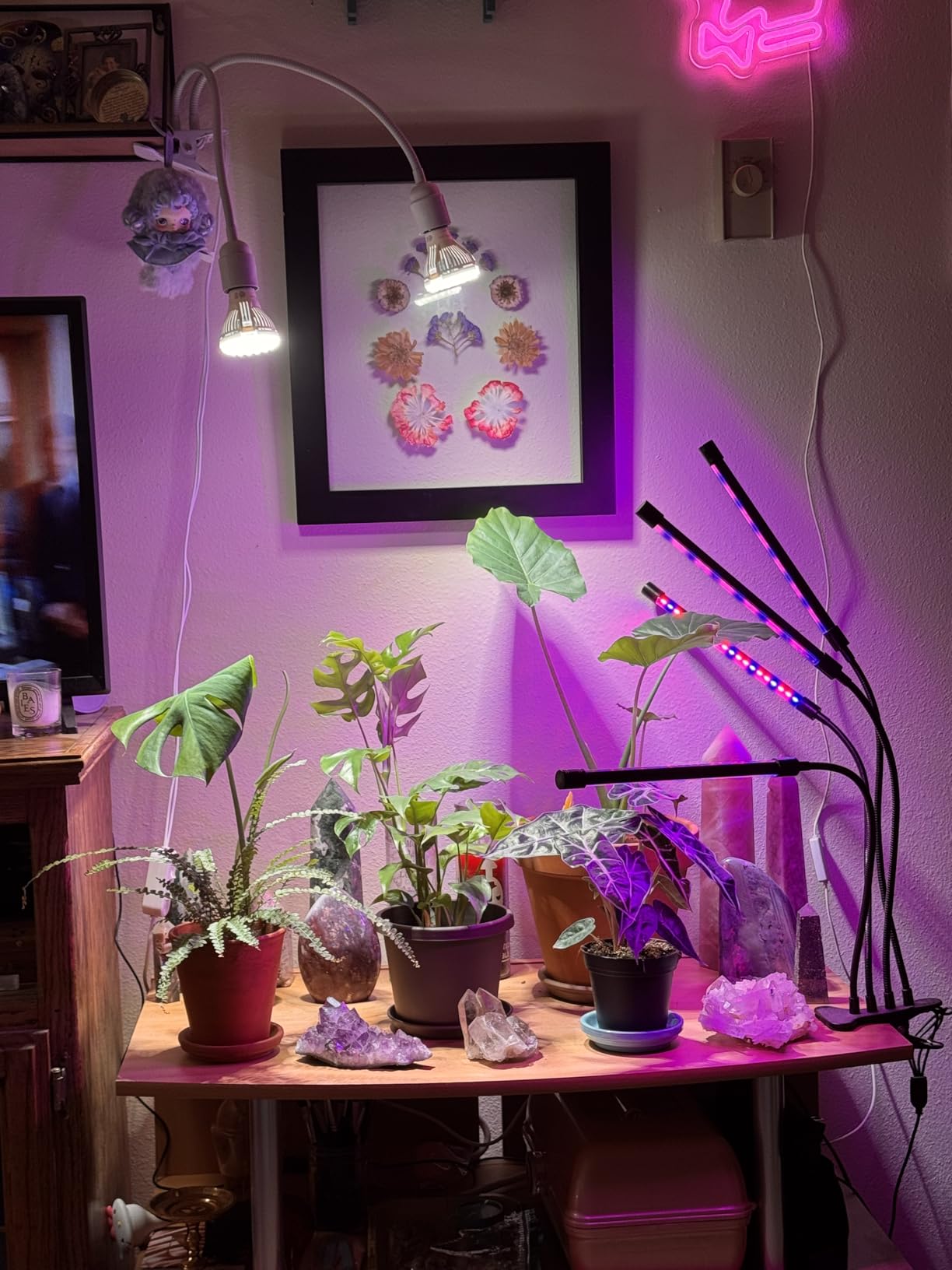 SANSI Grow Lights for Indoor Plants, 20W Clip-On Gooseneck LED Plant Lights customer photo 1