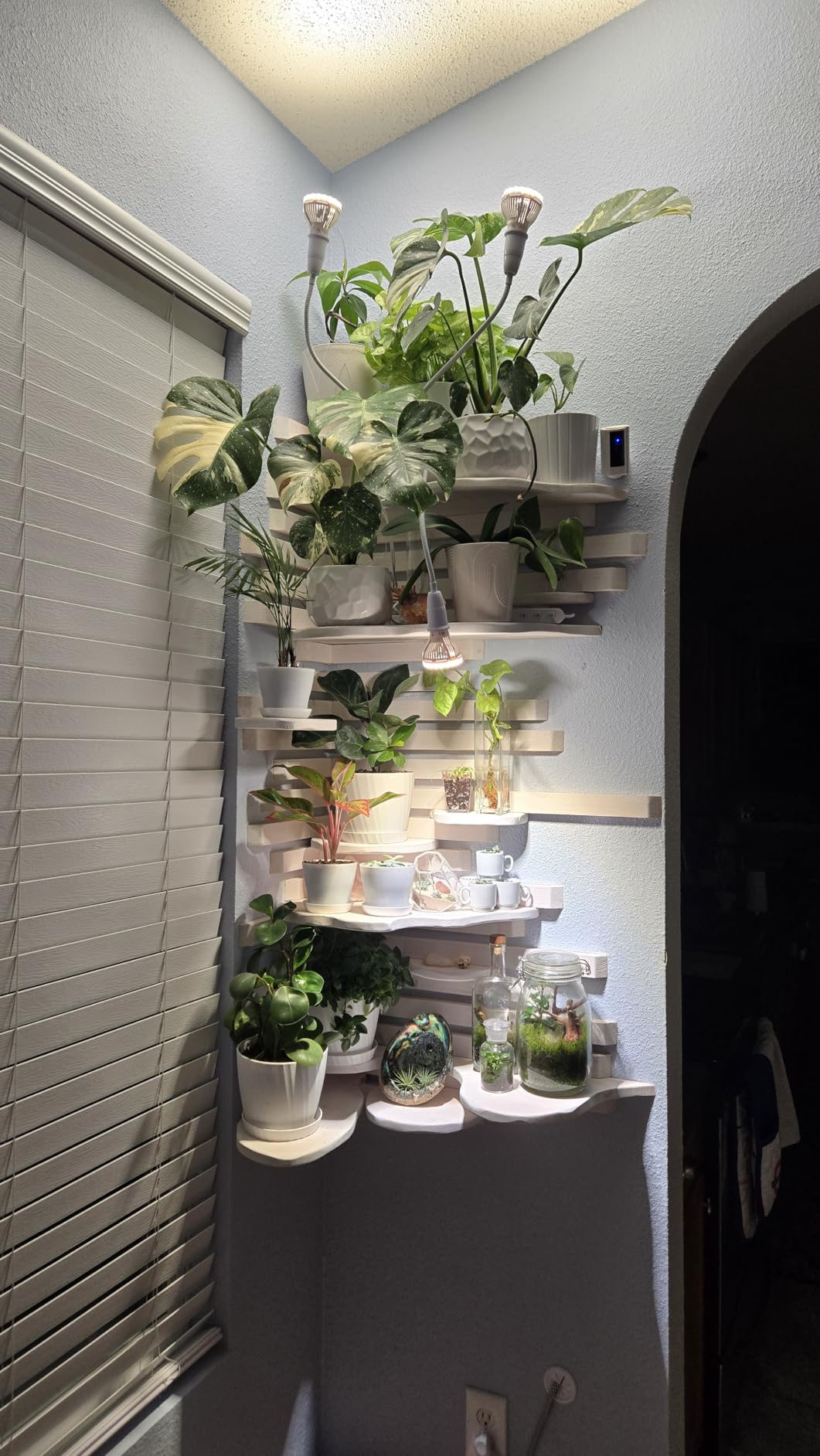 SANSI Grow Lights for Indoor Plants, 20W Clip-On Gooseneck LED Plant Lights customer photo 2