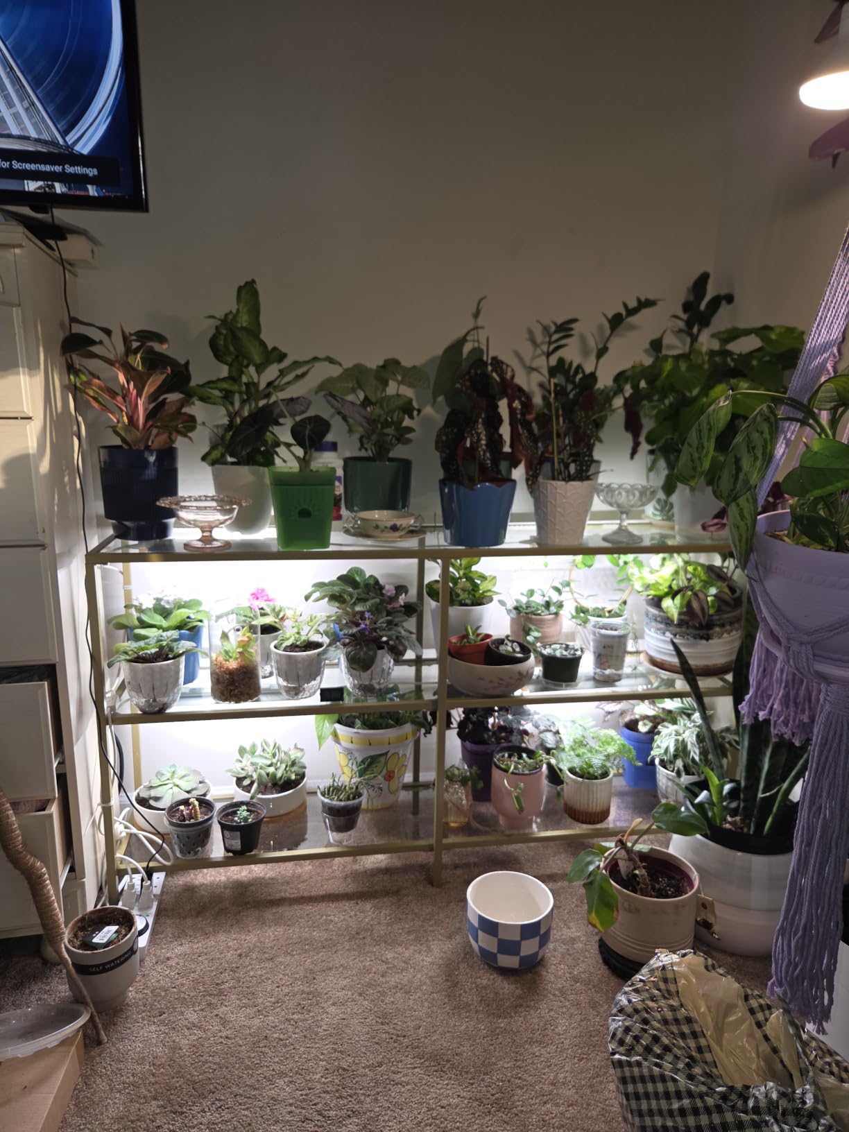 Barrina T8 Grow Lights, 2FT 5000K White Full Spectrum Plant Lights, 6 Packs customer photo 2