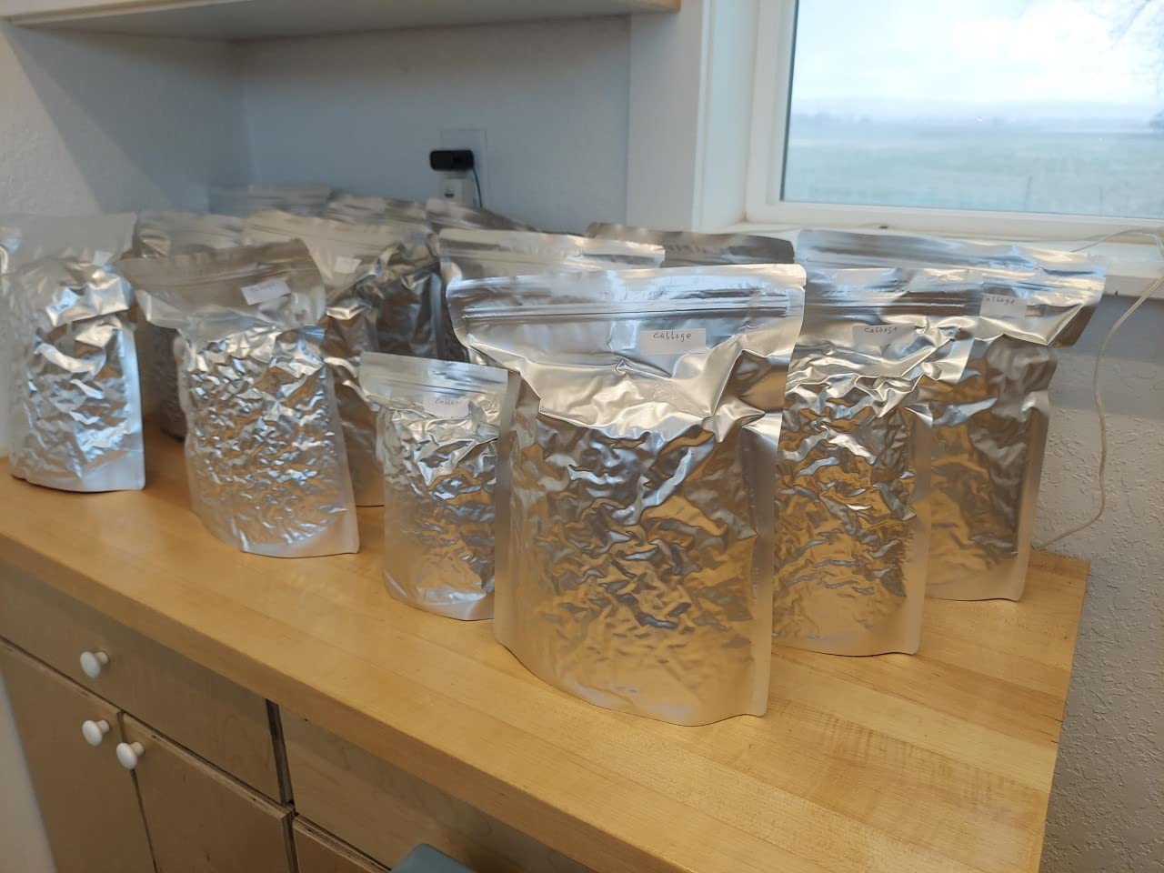 30pcs 1 Gallon Mylar Bags for Food Storage (15 Mil Extra Thick 7.5 Mil Each Side) with Oxygen Absorbers 500CC (40pcs), 10