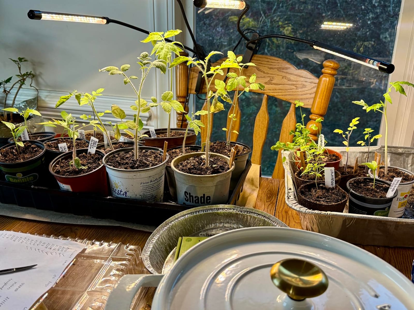 Grow Lights for Indoor Plants, Full Spectrum Tri-Head Clip Plant Lights customer photo 1