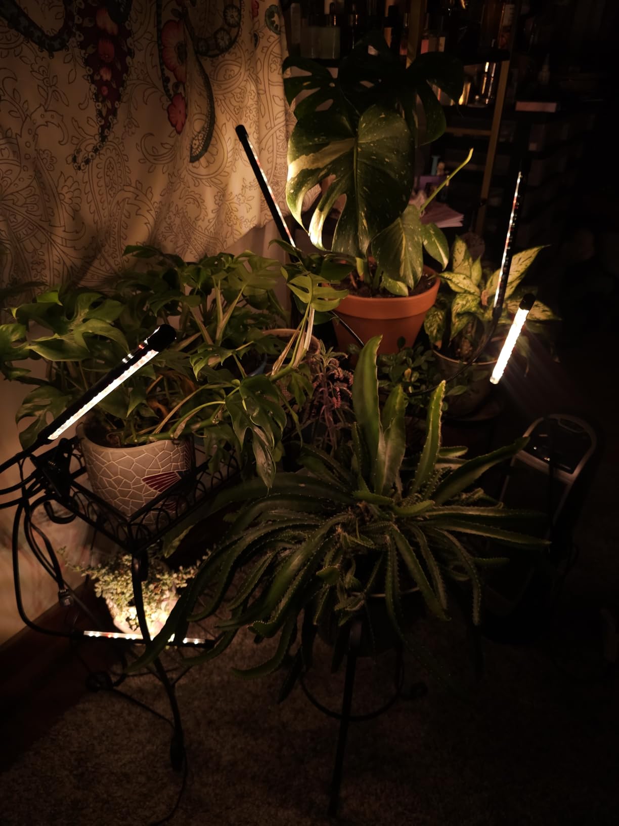 Grow Lights for Indoor Plants, Full Spectrum Tri-Head Clip Plant Lights customer photo 2