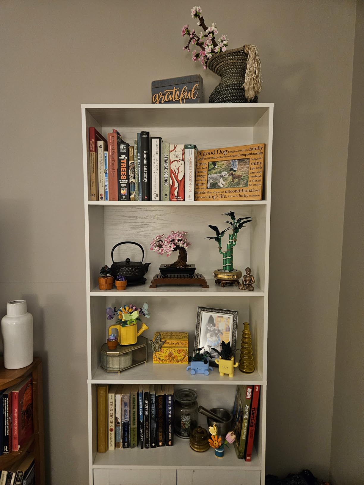 IRONCK Industrial Bookshelves and Bookcases with Doors Floor Standing 6 Shelf Display Storage Shelves 70 in Tall Bookcase for Home Office, Living Room customer photo 1