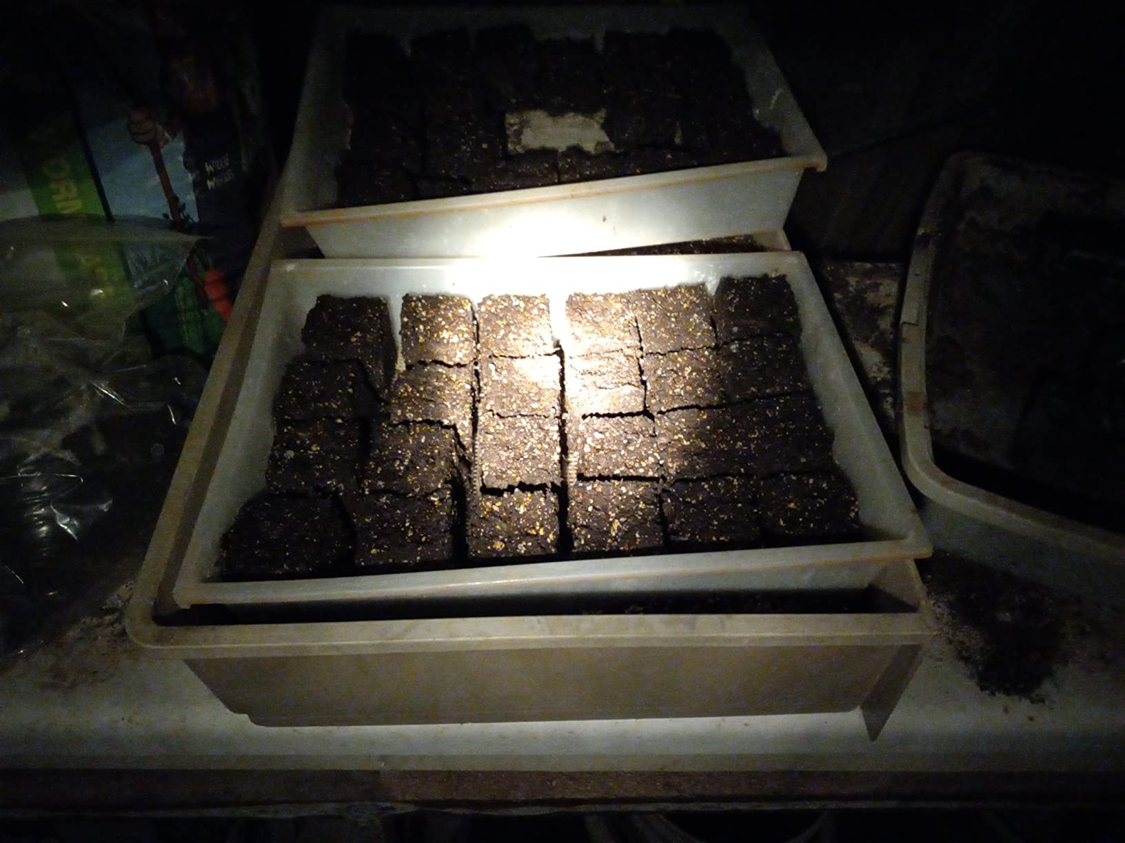 Soil Blocker with Comfortable Handle, 4 Cell Soil Block Maker 2 Inch Mold customer photo 1