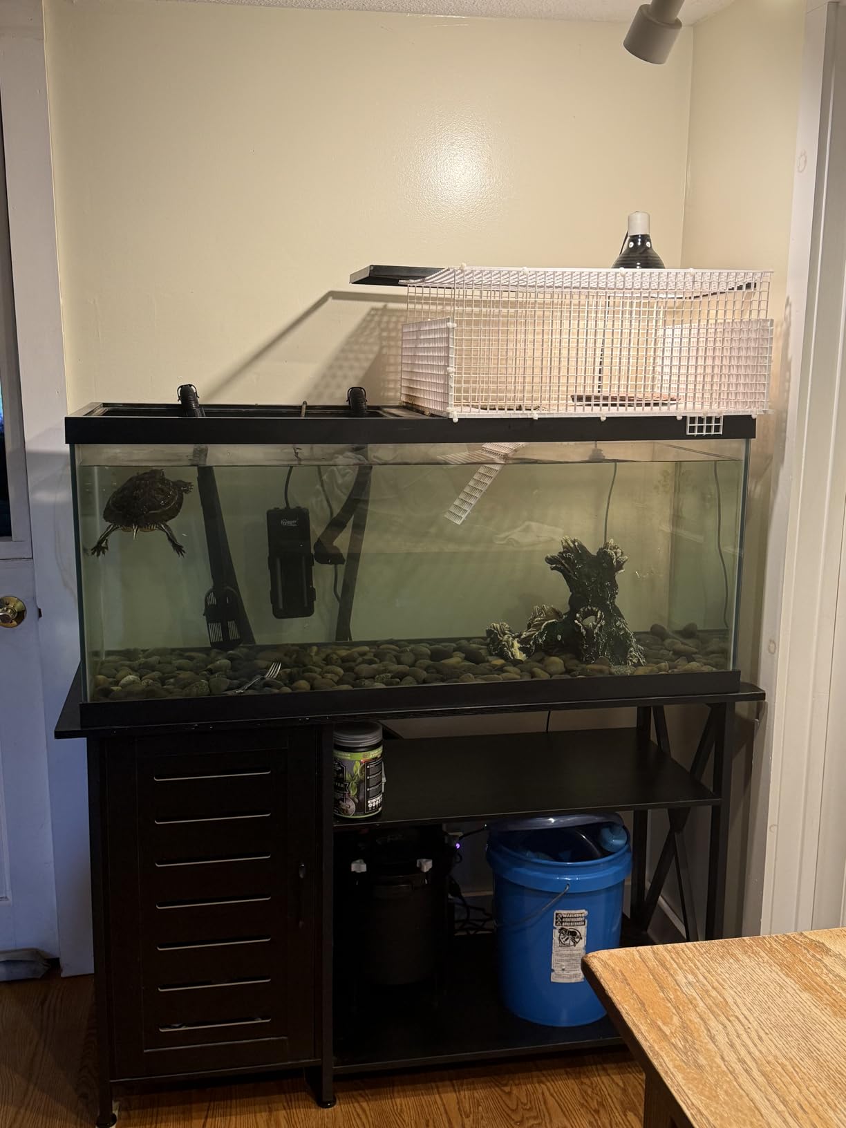 Fluval FX2 High Performance Canister Aquarium Filter customer photo 1