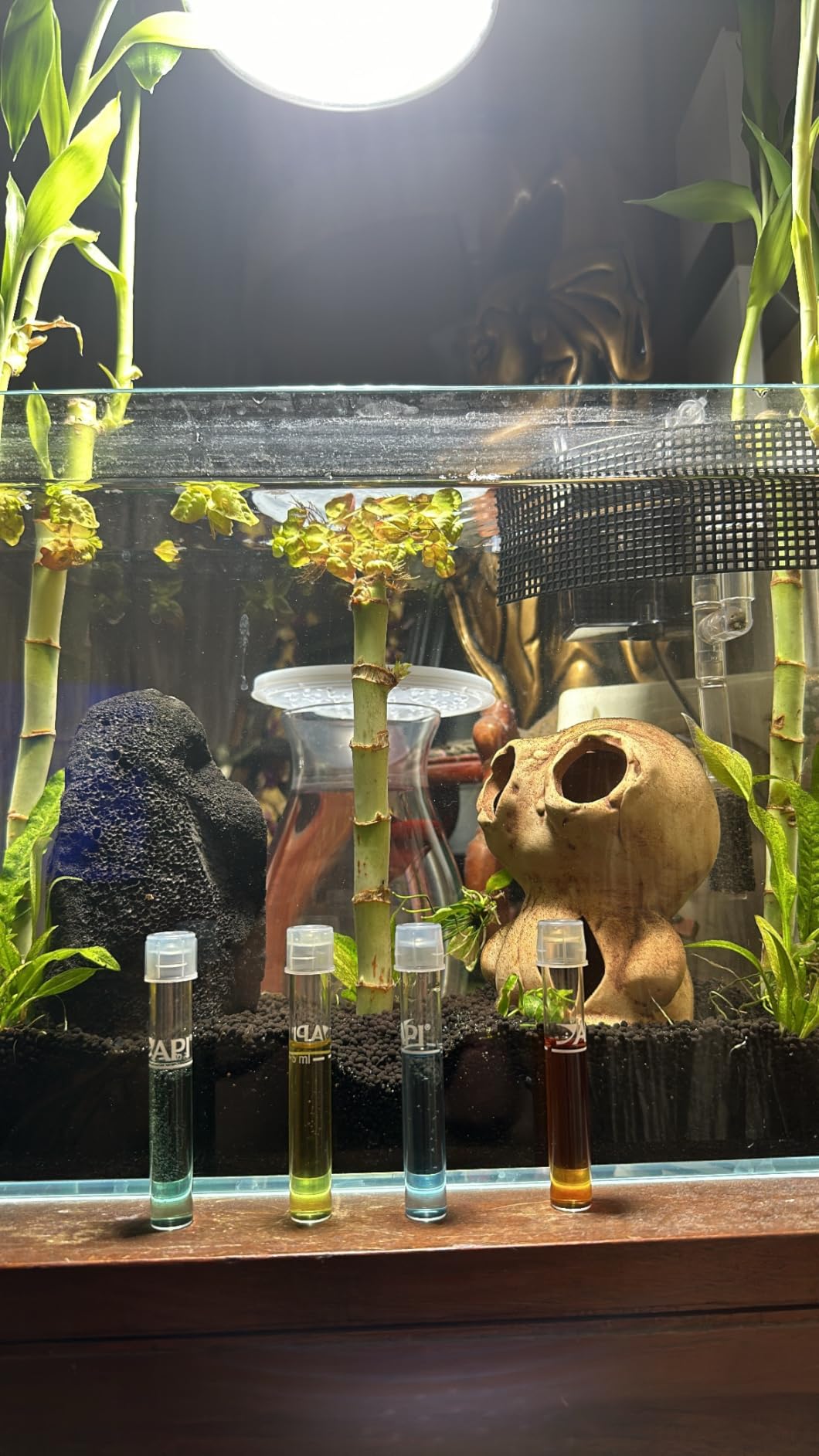 LAQUAL Rimless Glass Aquarium Starter Kit (3 Gal), Ultra Clear Low Iron Glass Fish Tank Set, Small Beta Fish Tank & Filter with Surface Skimmer & 3-Mode LED Light customer photo 2