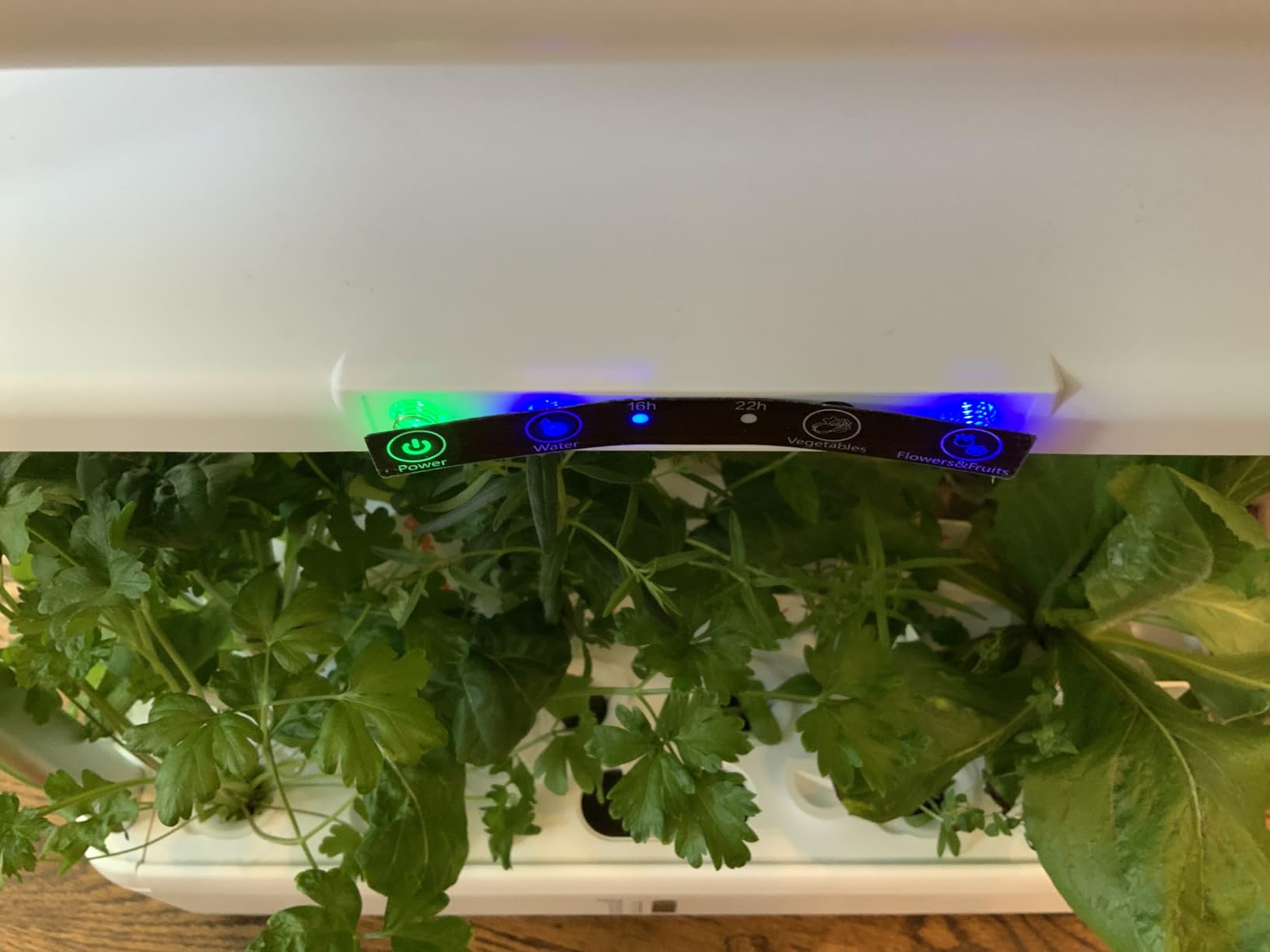 Ahopegarden Indoor Garden Hydroponics Growing System Kit: 60 Pods Indoor Herb Garden with LED Grow Light - Plant Germination Kit, 32L Large Capacity Hydroponic Tower for Vegetables Fruits Flowers customer photo 1