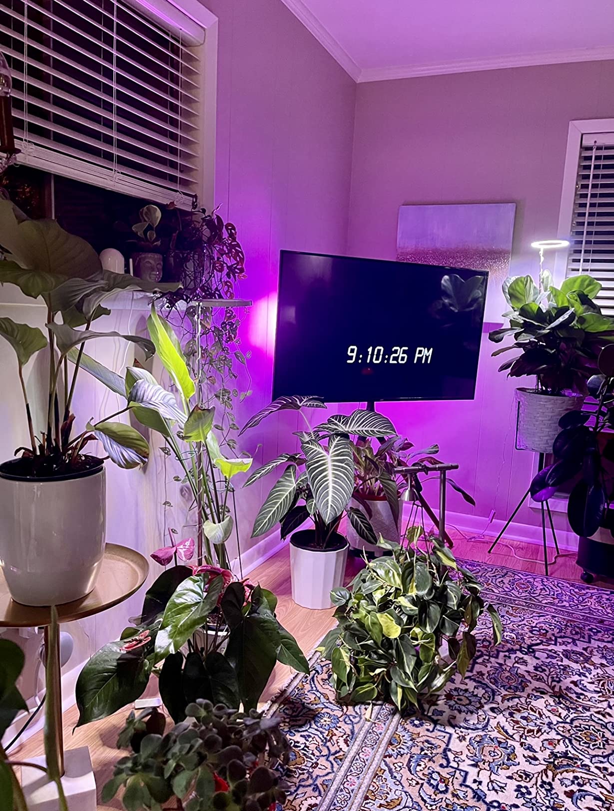 Plant Grow Light,yadoker LED Growing Light Full Spectrum for Indoor Plants,Height Adjustable, Automatic Timer, 5V Low Safe Voltage,Idea for Large Plant Light customer photo 1