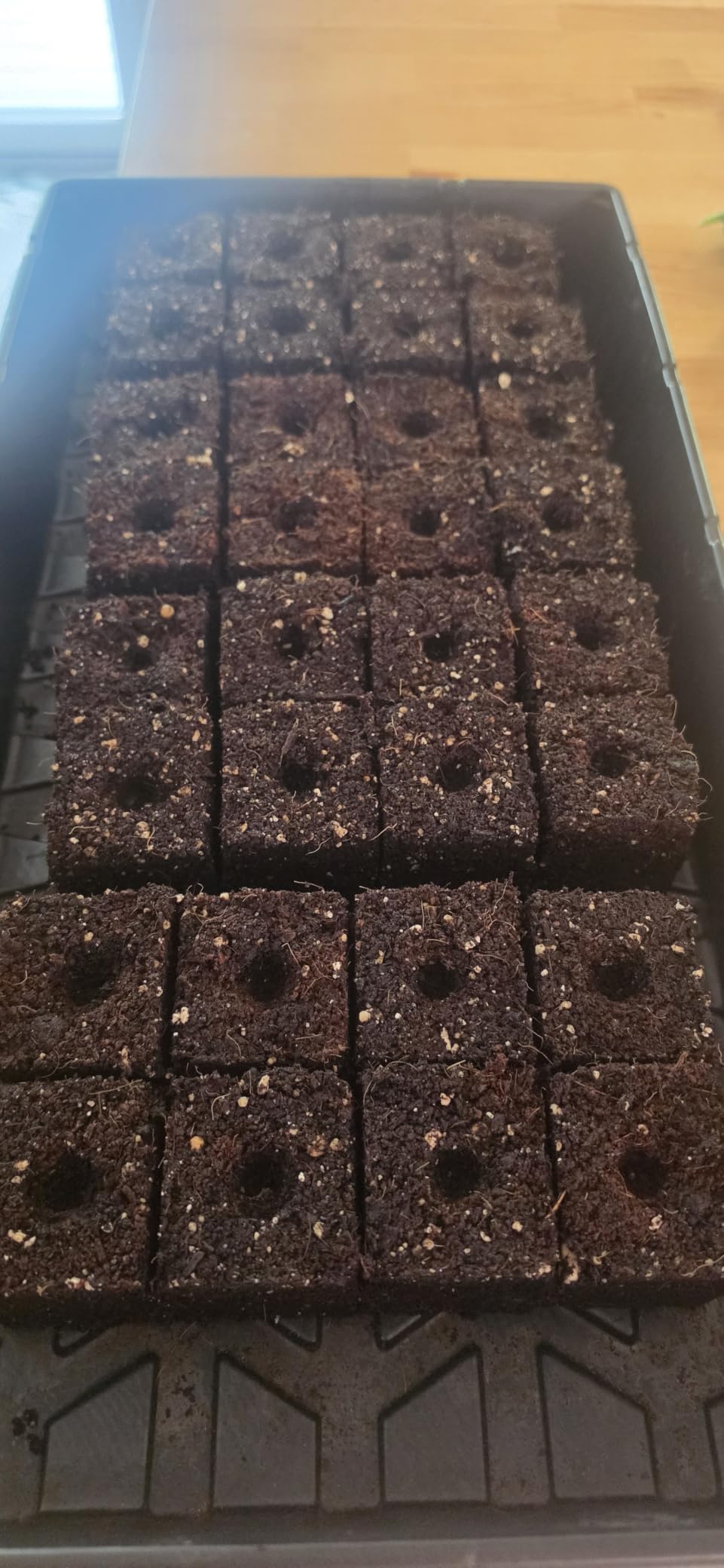 BlumWay Soil Blocker, 8 Cell 2 inch Soil Block Maker for Seed Starting customer photo 1