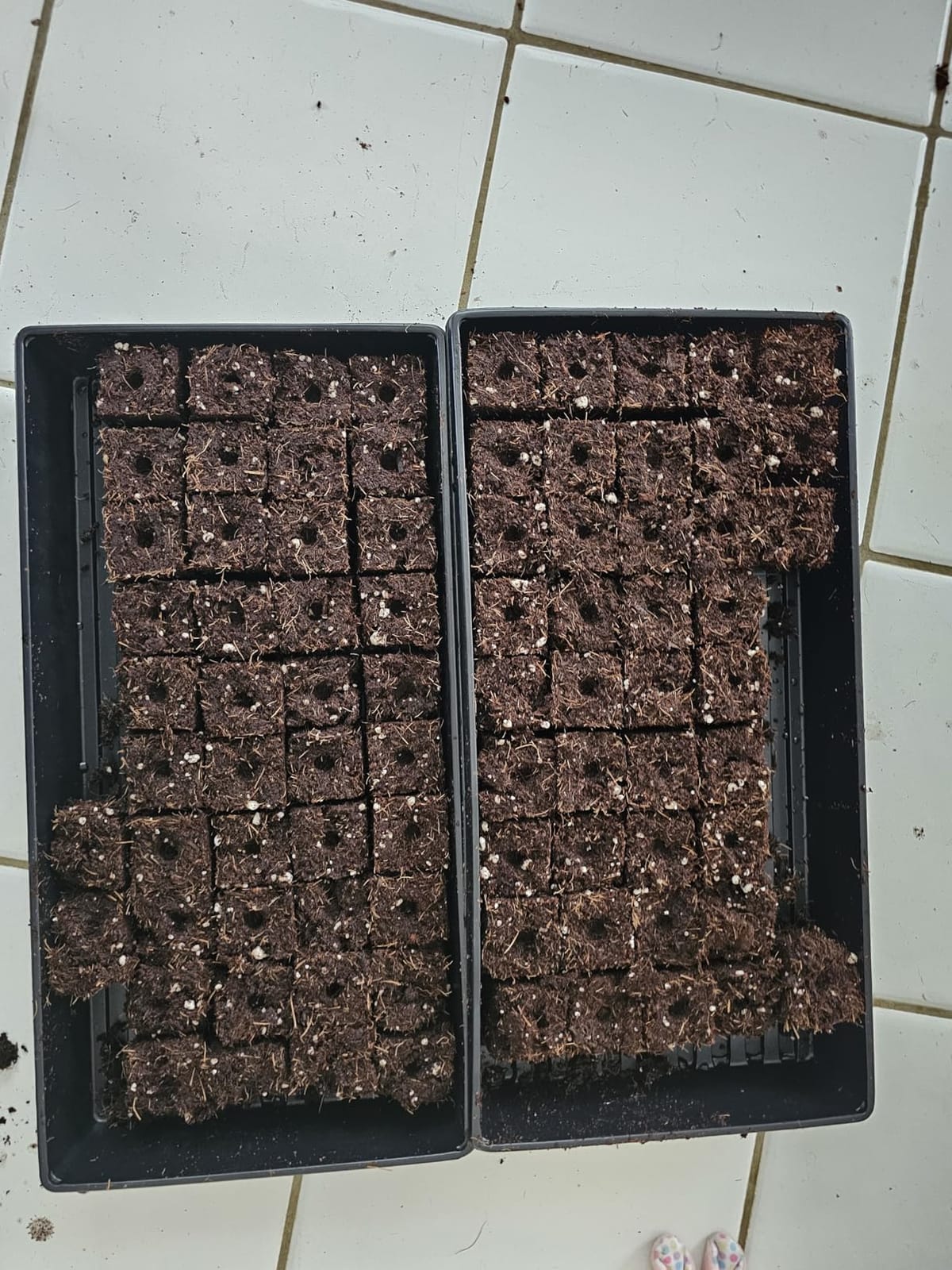BlumWay Soil Blocker, 8 Cell 2 inch Soil Block Maker for Seed Starting customer photo 2