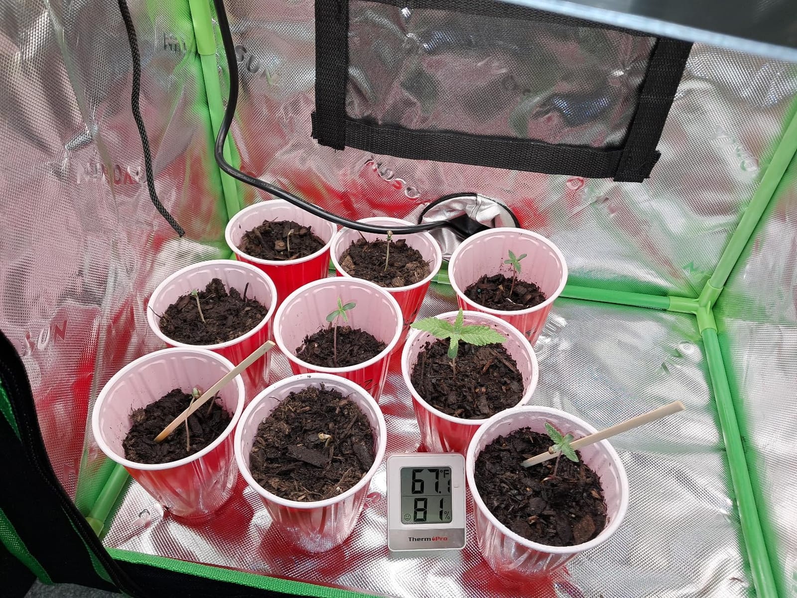 VIVOSUN Small Grow Tent for Aerogarden 20