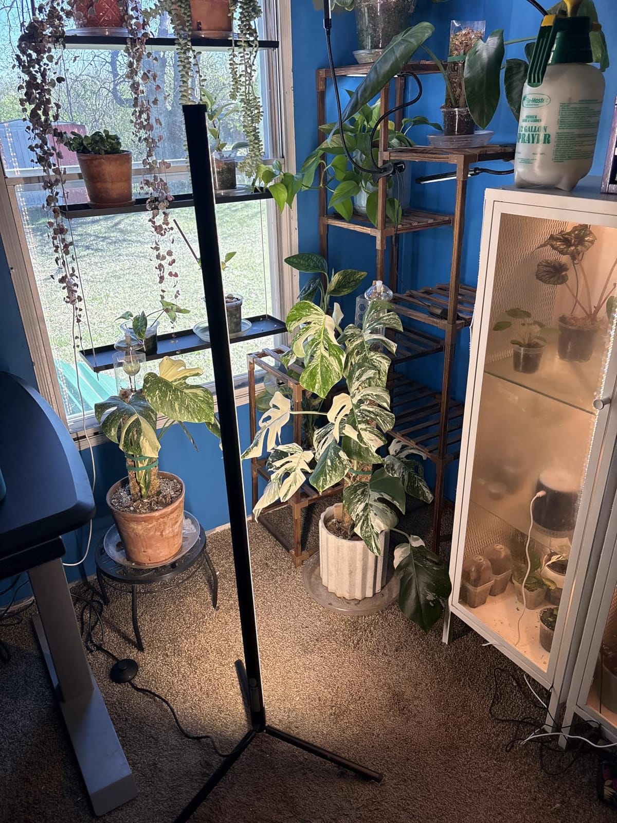 Barrina T10 Vertical Grow Light, 4FT 42W, Full Spectrum, High PPFD customer photo 1