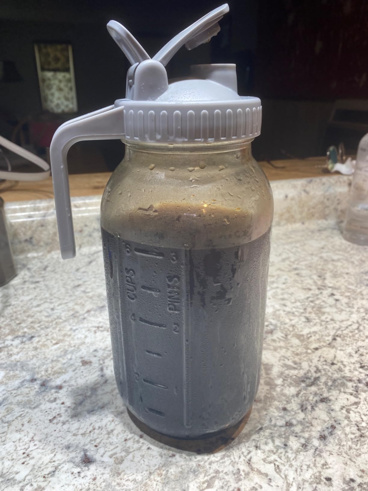 Cold Brew Coffee Maker Pitcher, 64 Oz Heavy Duty Wide Mouth Glass Mason Jar pour spout Lid with Stainless Steel Filter for Iced Coffee, Ice Lemonade, Fruit Drinks, Sun Tea customer photo 1
