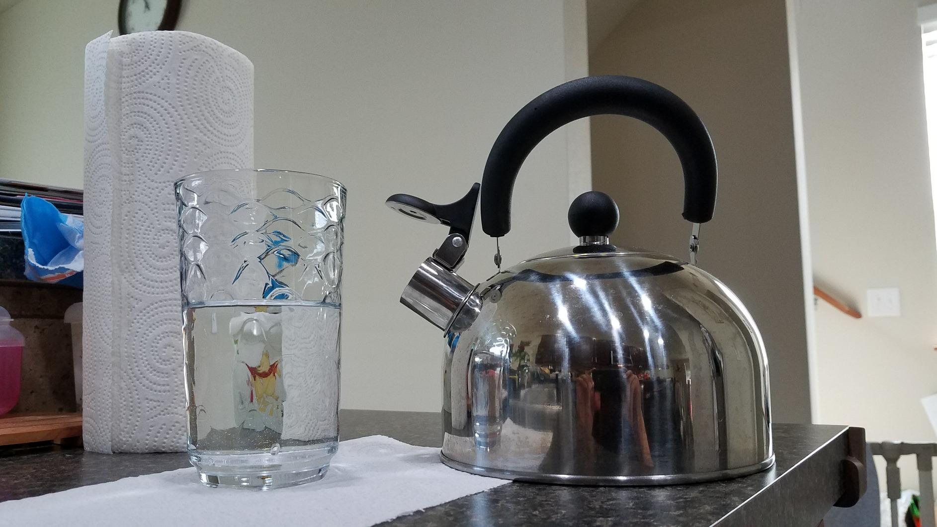 Lily's Home 2 Quart Stainless Steel Whistling Tea Kettle, the Perfect Stovetop Tea and Water Boilers for Your Home, Dorm, Condo or Apartment. (Blue) customer photo 1