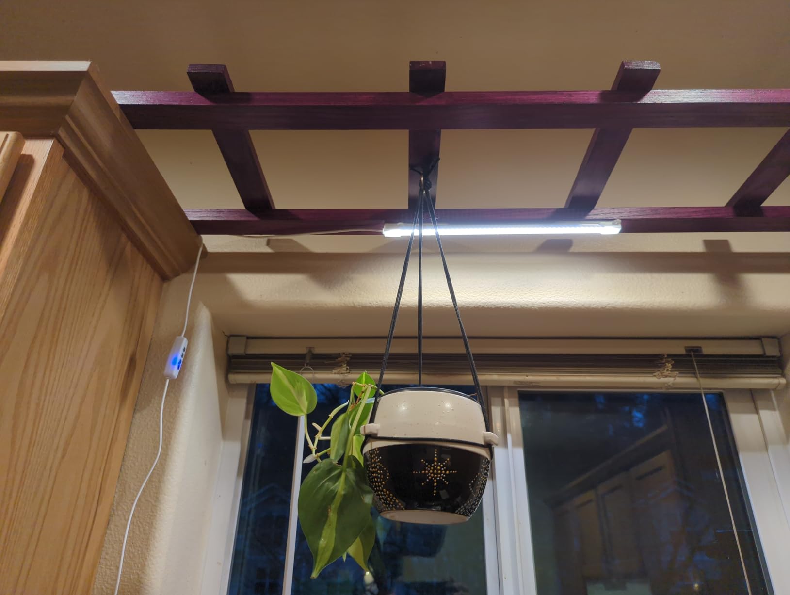 Hywyimlait 3 Head LED Grow Light Strips for Indoor Plants Full Spectrum 3500K, 144 LEDs Plant Light Bar with 3/9/12H Timer, 10 Dimmable Levels for Seedling Succulent, 13 Inches customer photo 2
