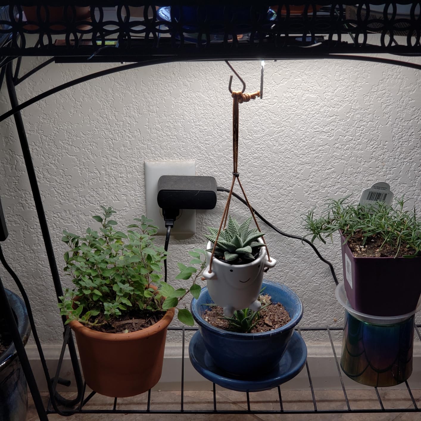Barrina T5 Grow Lights for Indoor Plants, Full Spectrum, 1ft 5000K, 4 Packs customer photo 1
