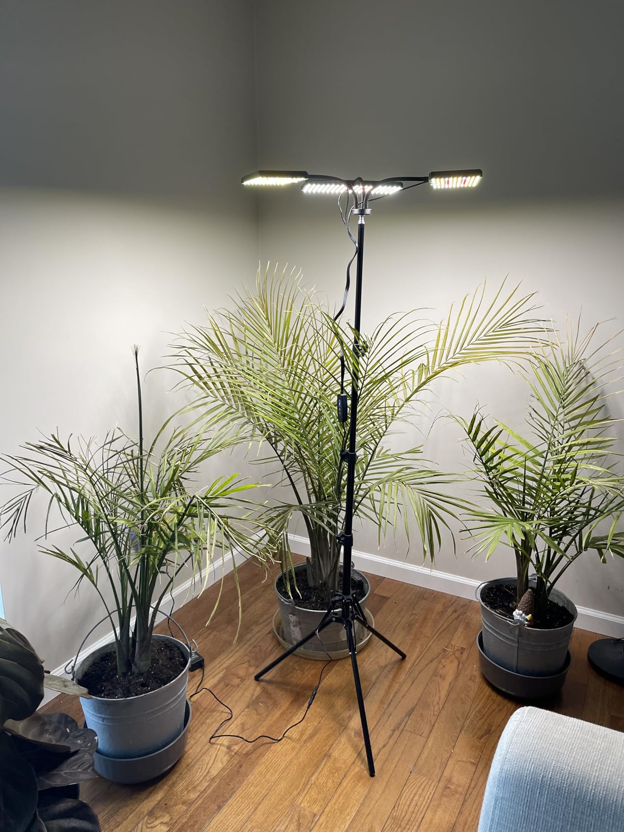 LBW Grow Light for Indoor Plants, 642 LEDs Grow Light with Stand customer photo 2