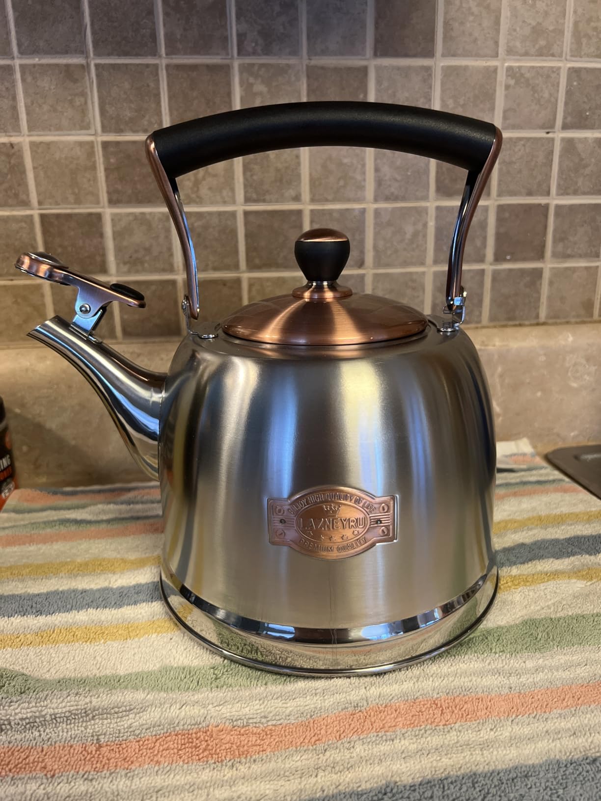 Tea Kettle Stainless Steel Teapot, Stainless Steel Teakettle for Stove Top with Heat Proof Ergonomic Handle 3.0 Quart customer photo 1