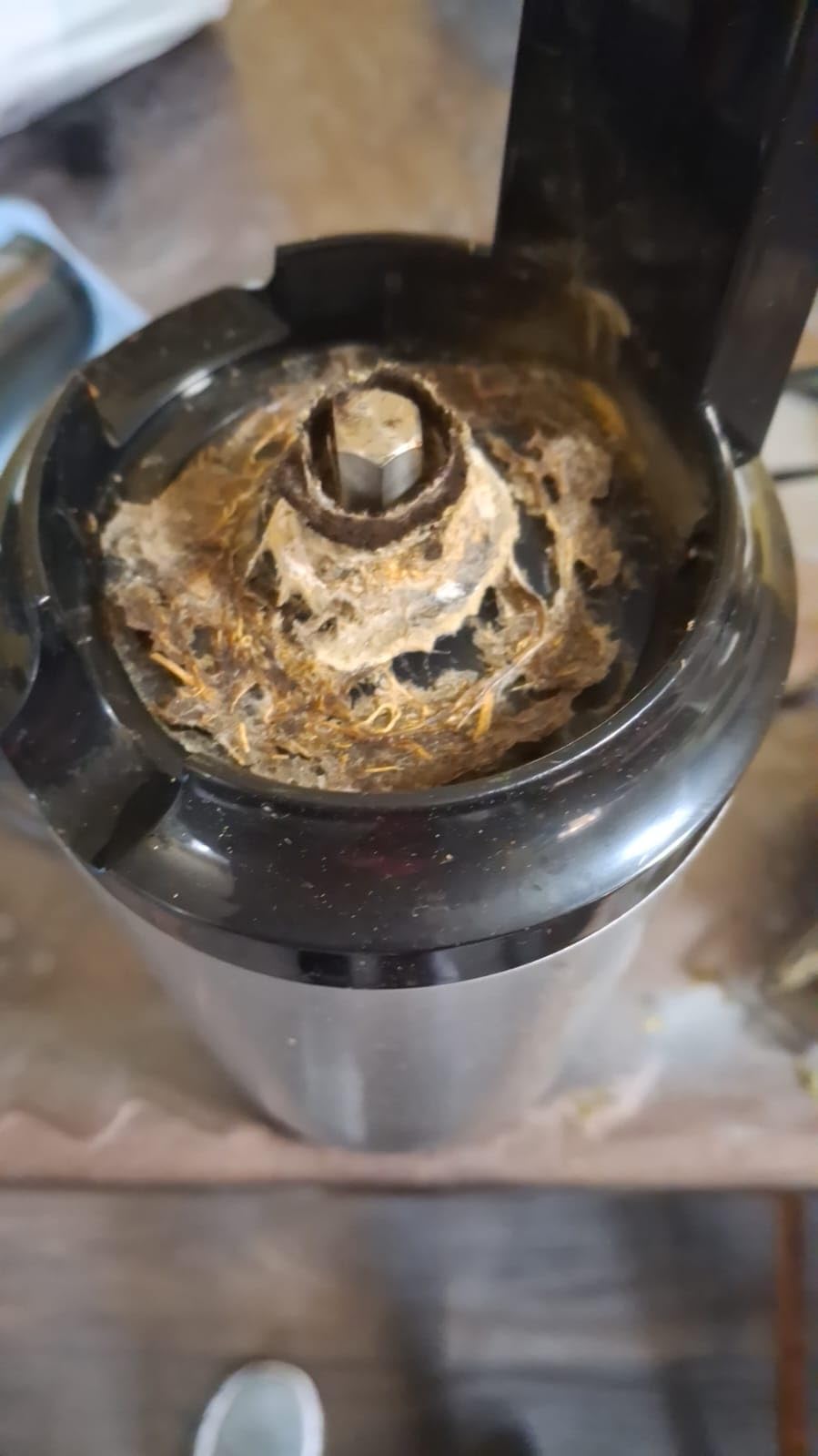 Masticating Juicer Machines, Reemix Cold Press juicer Machine customer photo 1