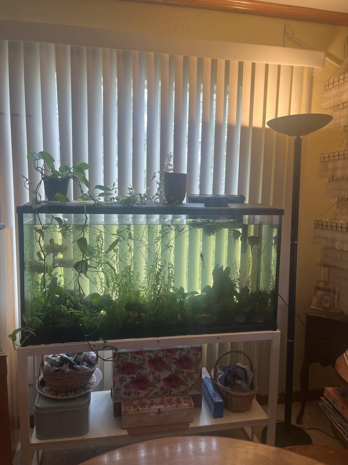 VOWNER 55-75 Gallon Fish Tank Stand, Metal Aquarium Stand, Black customer photo 1