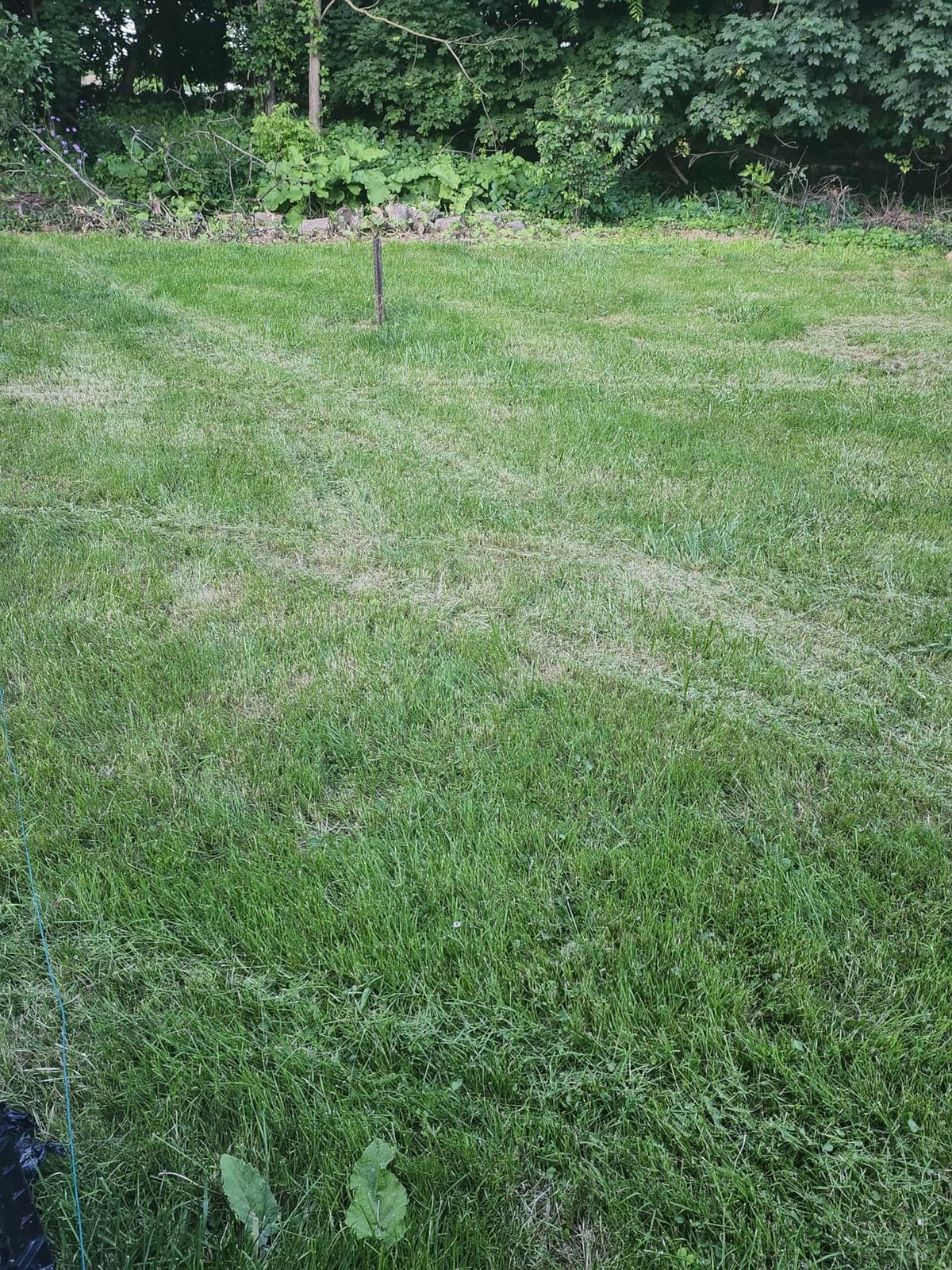 LawnMaster OcuMow Robot Lawn Mower with Cordless 24V MAX 10” Grass Trimmer Combo Kit Perimeter Wire Free for Small Yards 2000-4000 Square Feet Optical Navigation Automatic Obstacle Avoidance Spot Cut customer photo 2