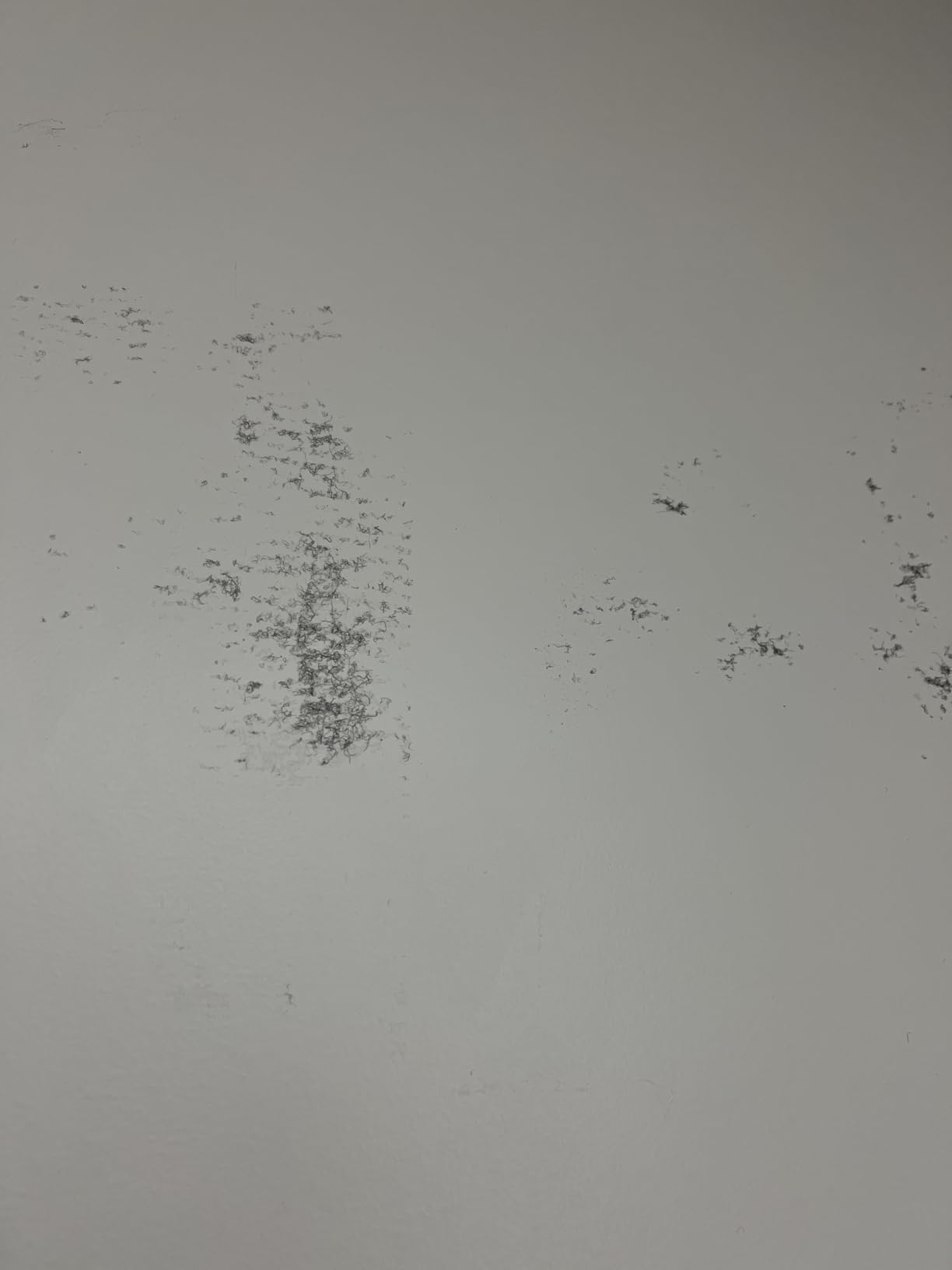 12in Acoustic Panels for Walls, High Density Soundproof Wall Panels customer photo 2