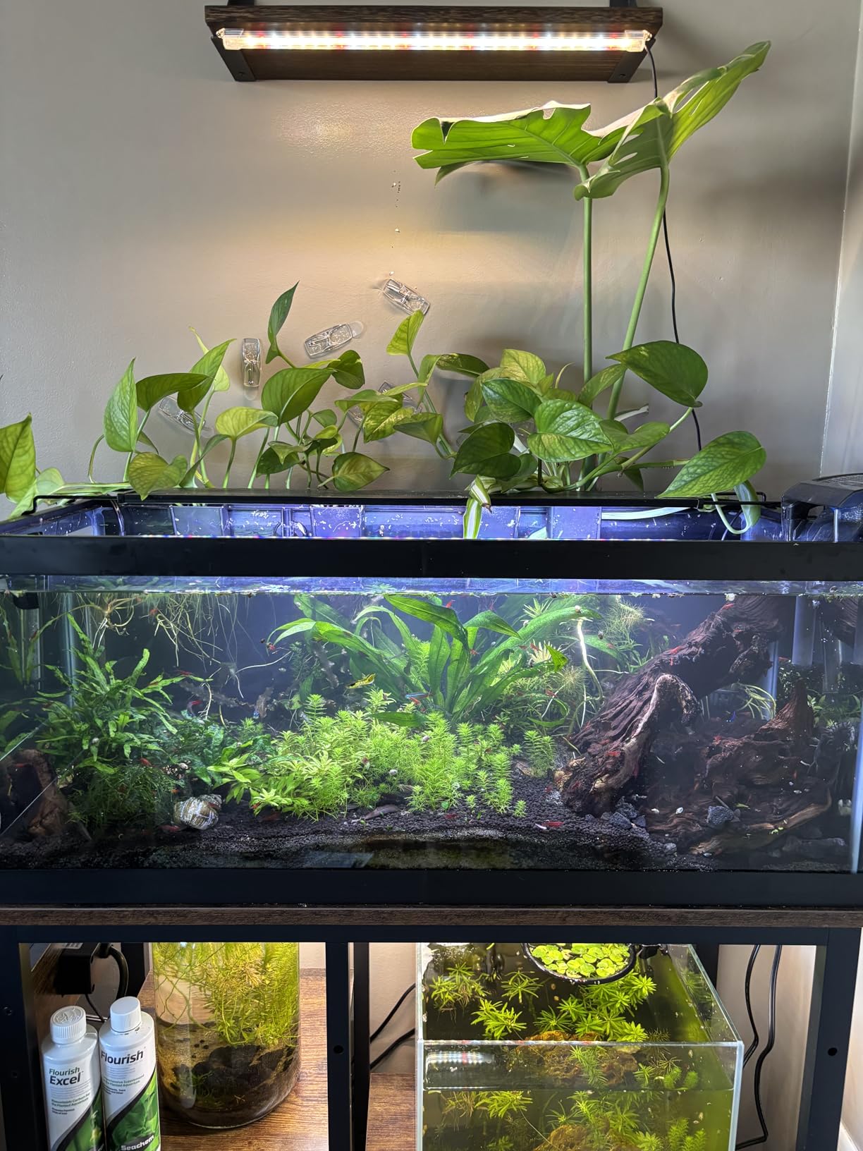 Bestier 55-75 Gallon Fish Tank Stand with Power Outlet, Rustic Brown, 49x13 customer photo 2