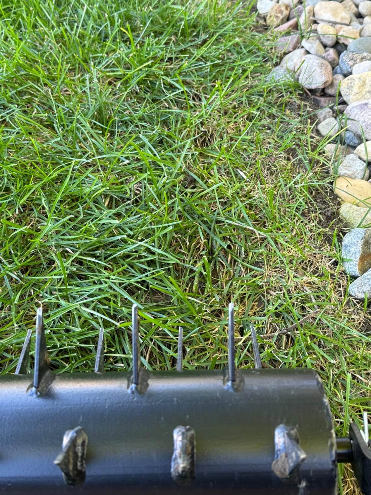 Seeutek 23Inch Rolling Lawn Aerator - Upgraded Heavy Duty Aerators customer photo 1