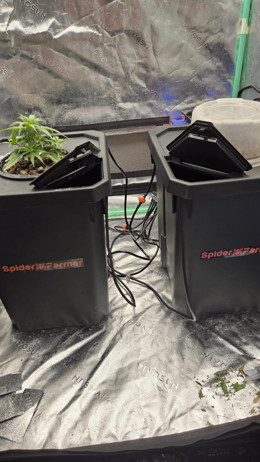Spider Farmer DWC Hydroponics Growing System Kit 2 Buckets for Indoor Plant customer photo 1