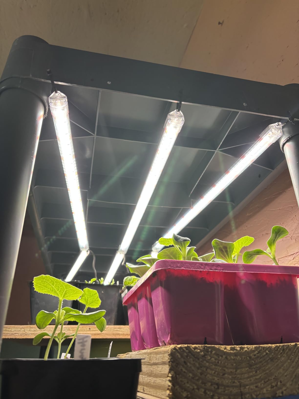 SDOVUERC 16'' 6 Bars Grow Light Strips for Indoor Shelves Plants Growing. customer photo 1