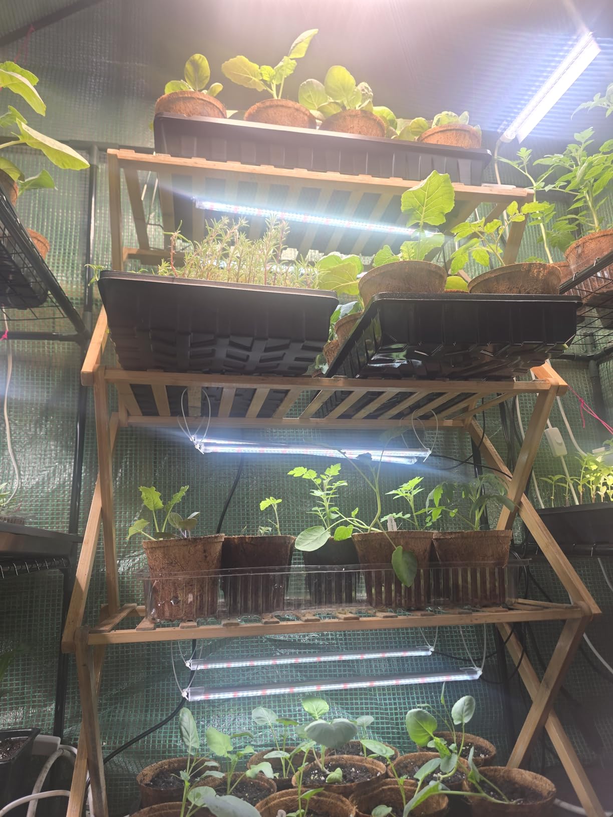SDOVUERC 16'' 6 Bars Grow Light Strips for Indoor Shelves Plants Growing. customer photo 2