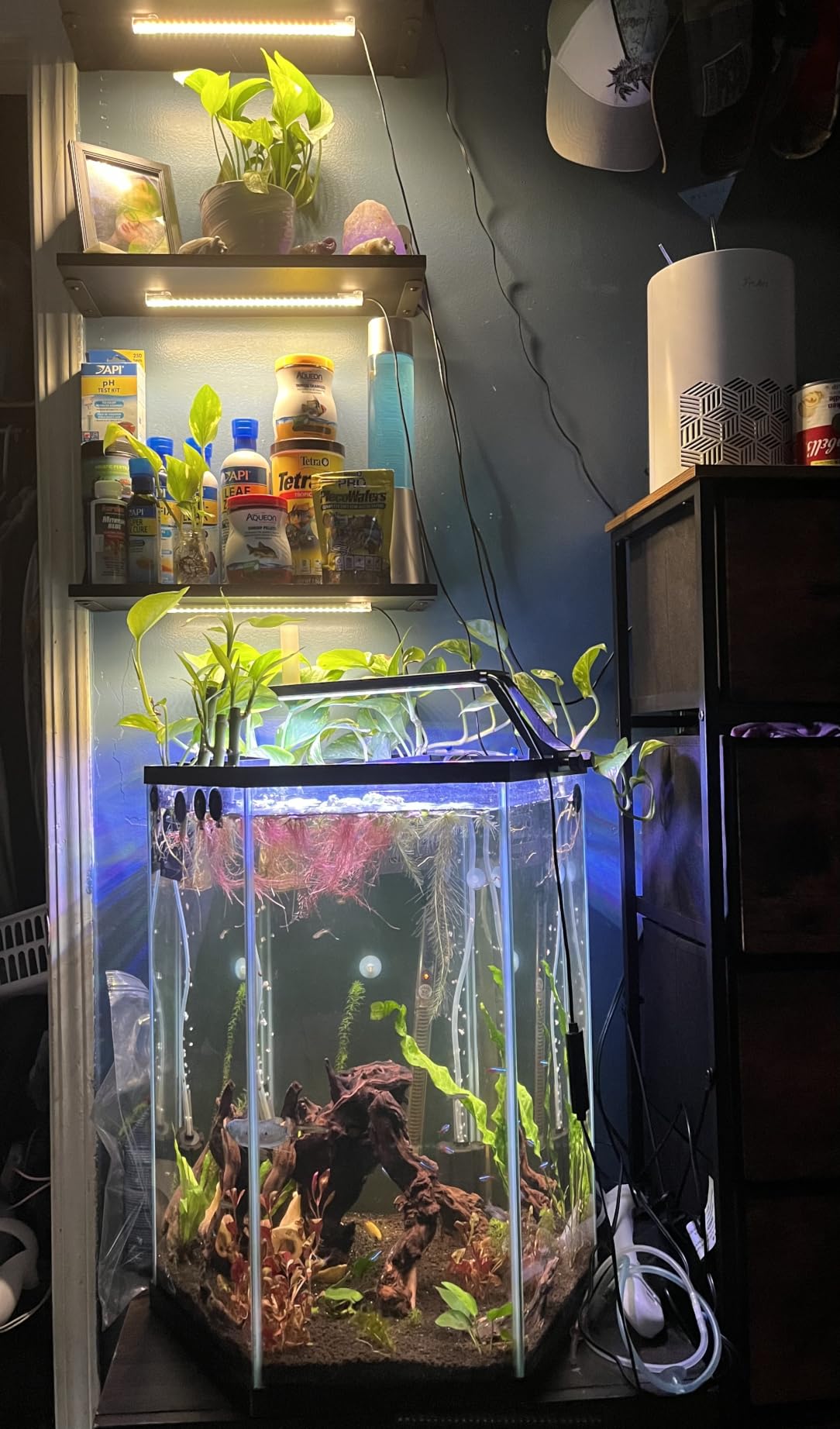 LED Grow Light Strips, Grow Lights for Indoor Plants Full Spectrum 3000K, Plant Light Bar with 3/9/12H Timer, 10 Dimmable Levels for Seedling Succulent,Best Match for Plant Shelf(3 Head×2 Pack) customer photo 2