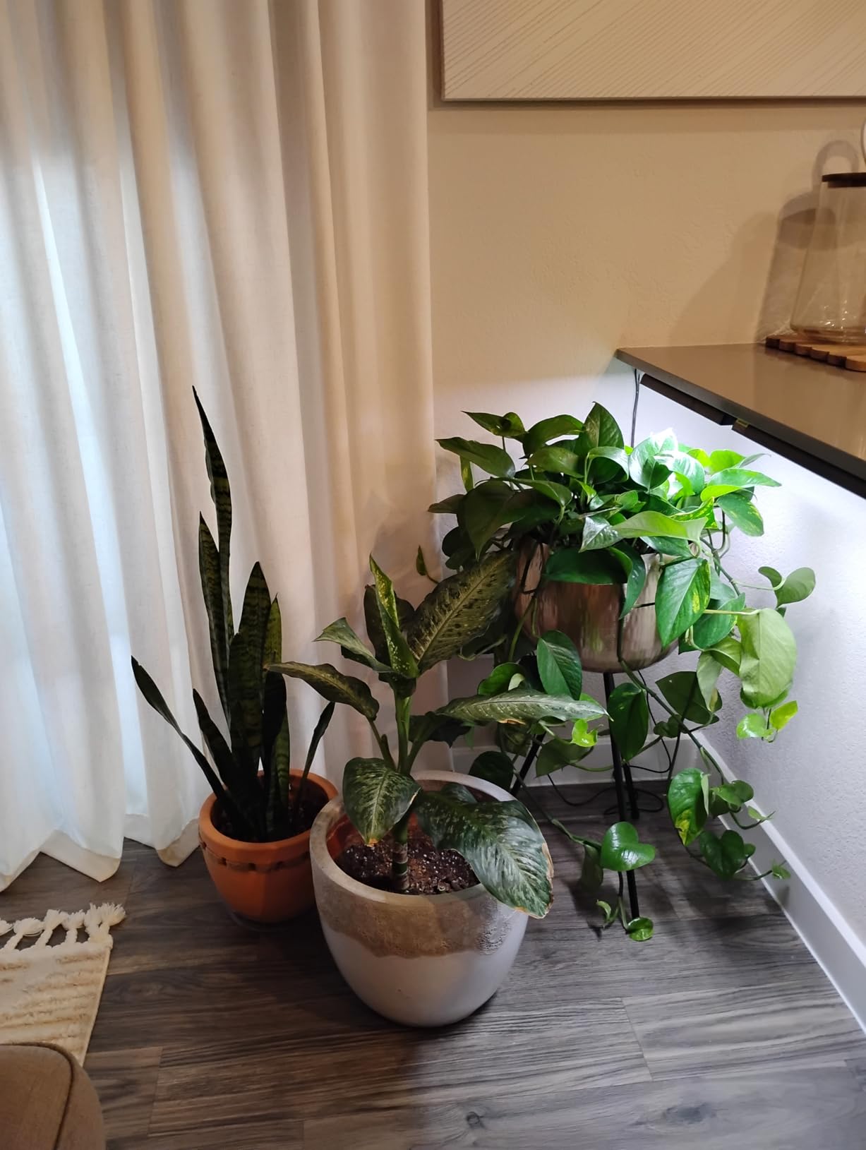 Wolezek 14in Grow Light Strip for Indoor Plants, Full Spectrum customer photo 1