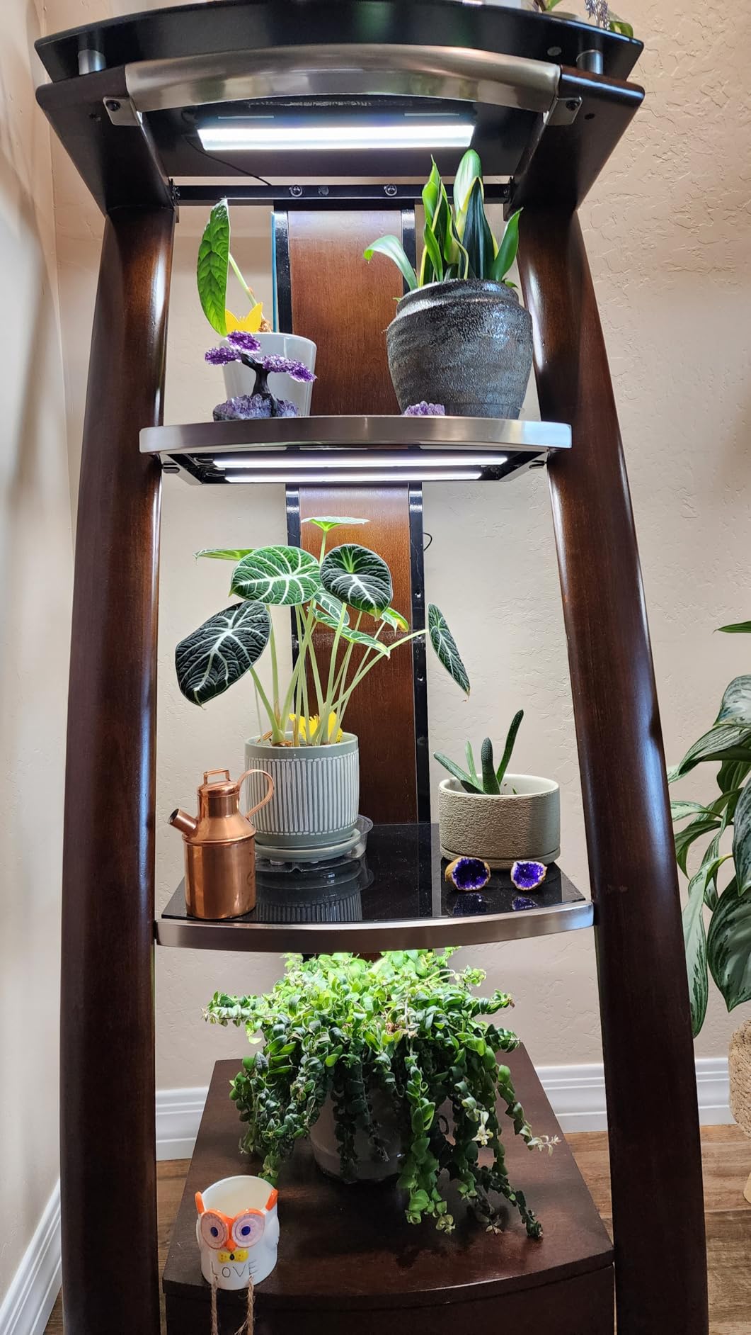Wolezek 14in Grow Light Strip for Indoor Plants, Full Spectrum customer photo 2