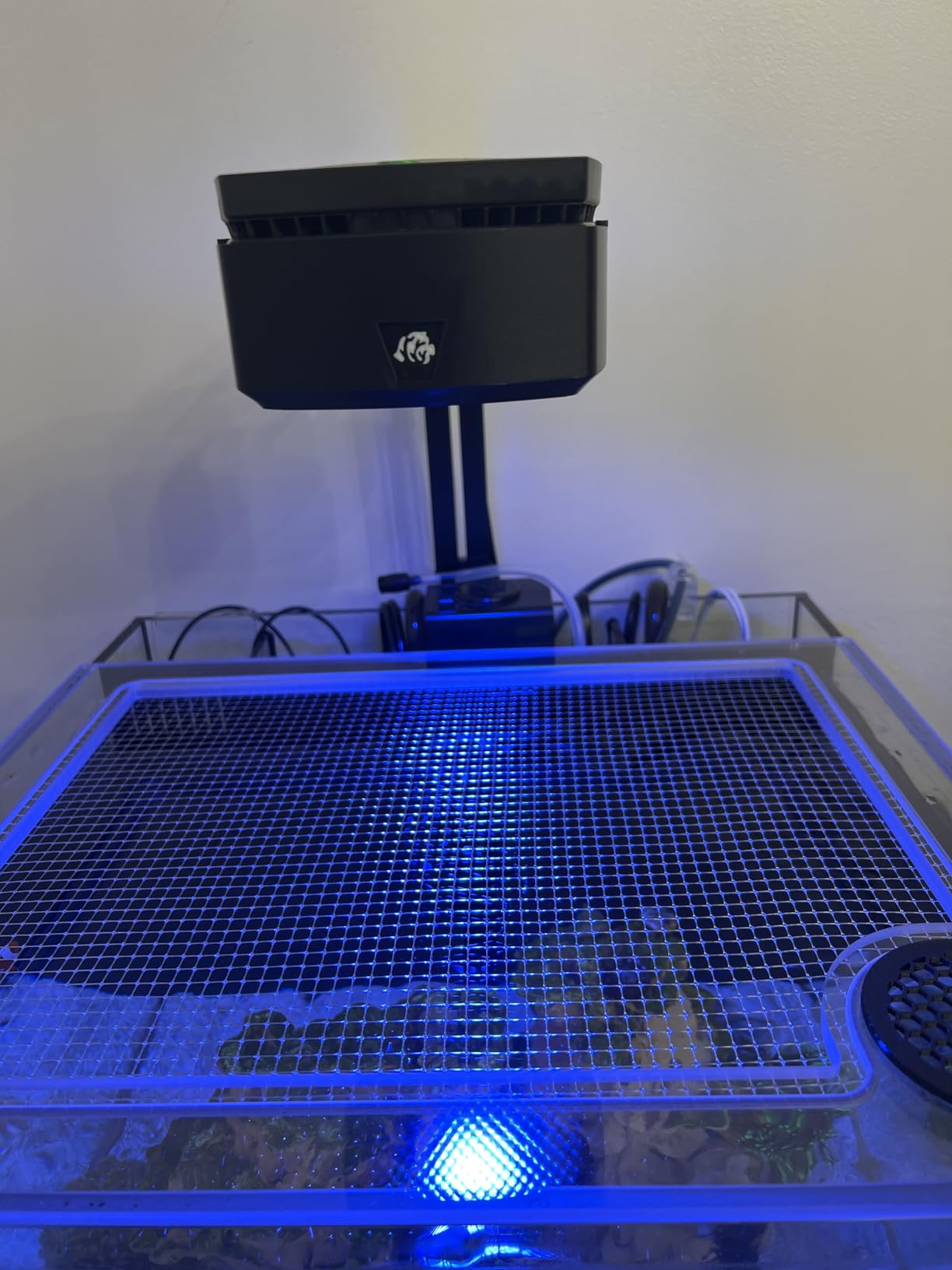 Sicce Shark Nano Protein Skimmer 150 up to 40 Gallon Saltwater Aquariums | Ultra Quiet Pump, Adjustable, Compact, Small Aquarium Marine Reef Tank customer photo 1