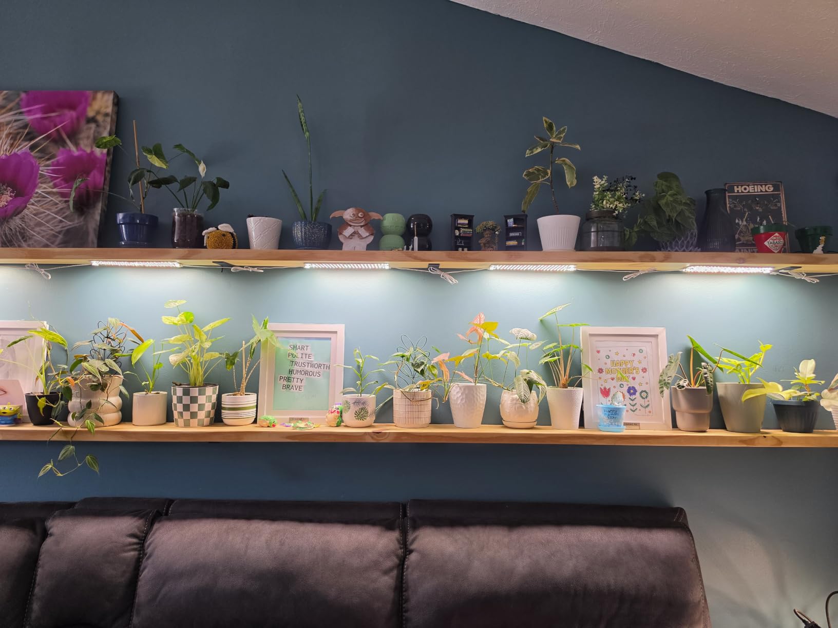 SDOVUERC Full Spectrum Grow Panel Lights for Indoor Plants and Shelves. customer photo 1