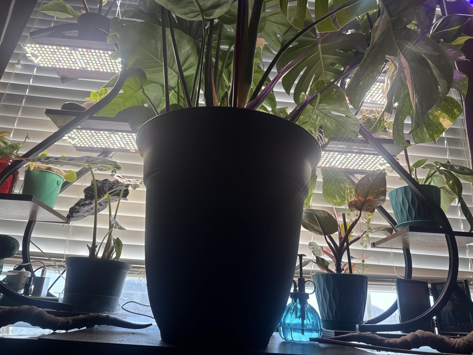 SDOVUERC Full Spectrum Grow Panel Lights for Indoor Plants and Shelves. customer photo 2
