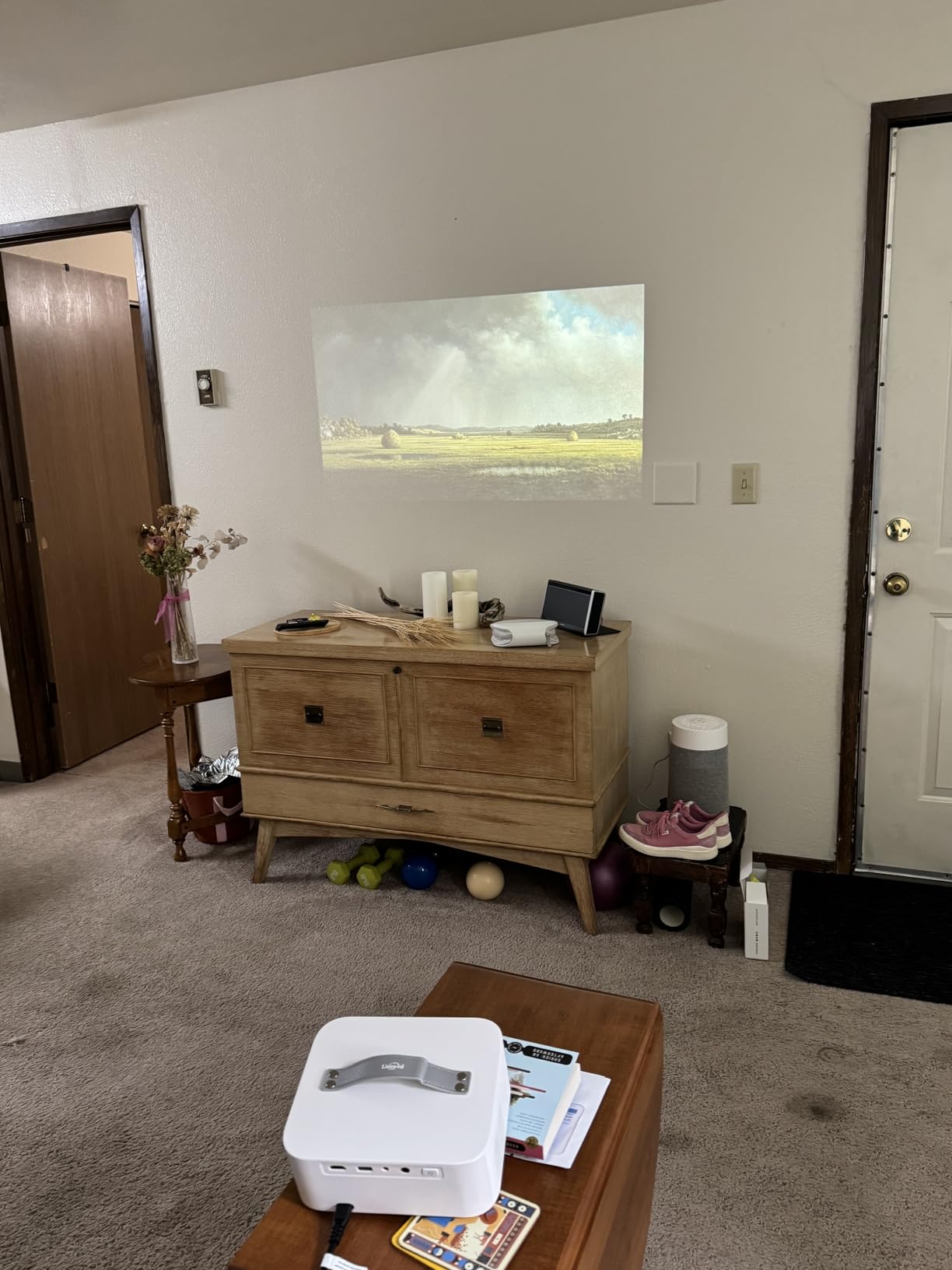 Portable-Outdoor-Projector with WiFi &Bluetooth, 50W Dolby Audio Proyector customer photo 2