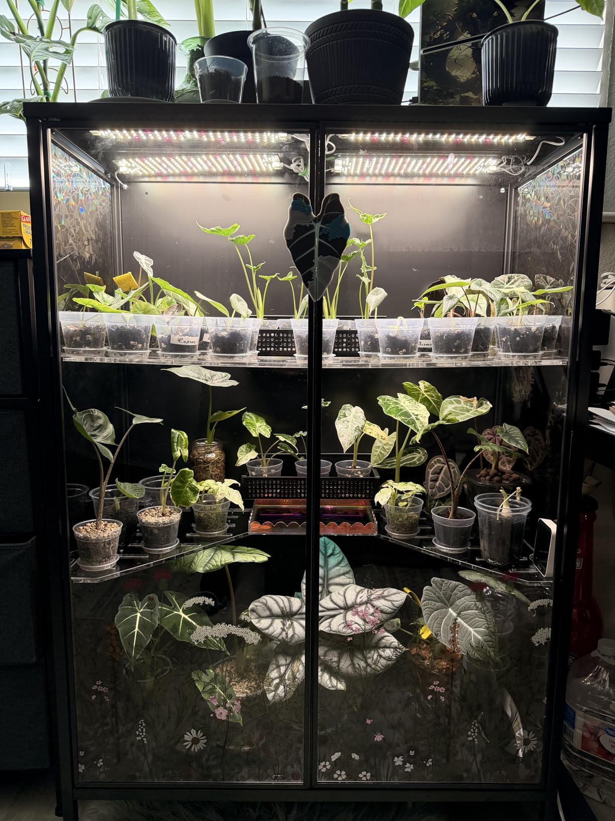 3-Pack Panel Grow Lights for Seed Starting,Veg, Bonsai,Seedling customer photo 1