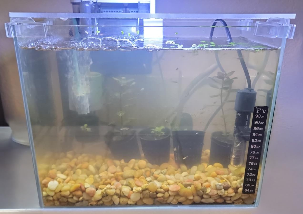 Vimvins 10 Gallon Glass Small Fish Tank with Filter Light and Lid, Aquarium Starter Kit customer photo 2