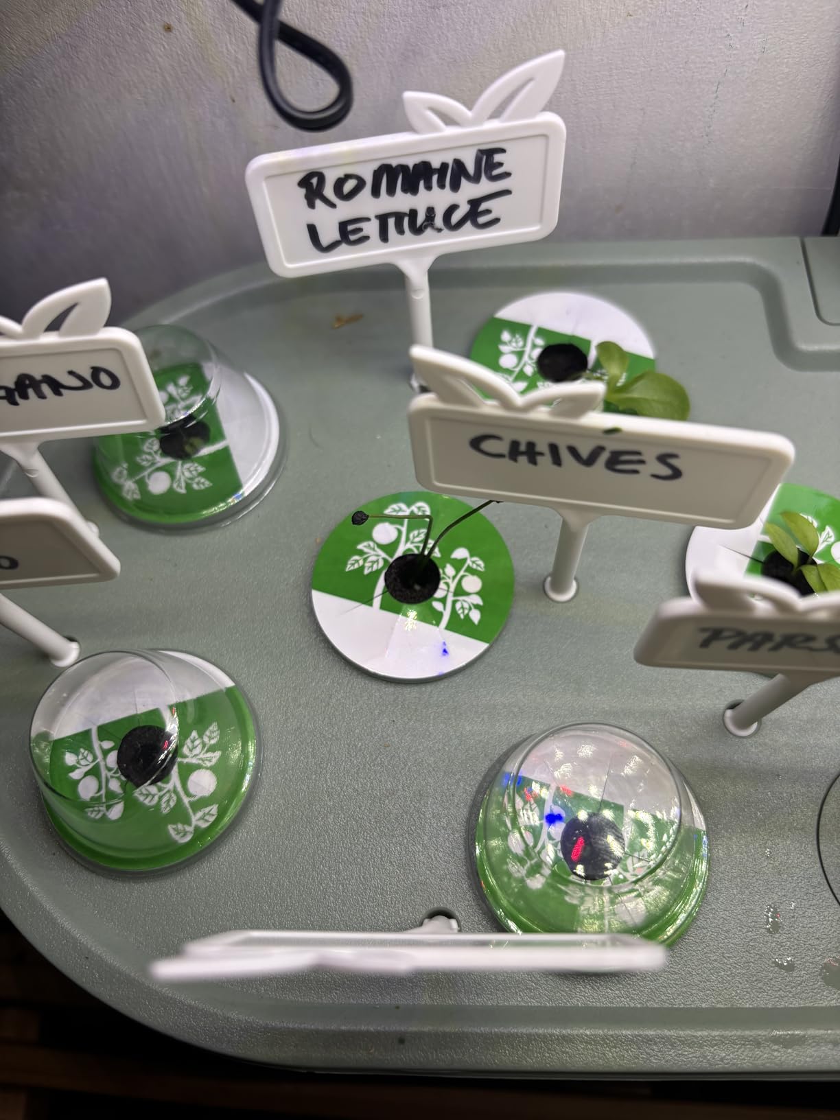 Hydroponics Growing System Indoor Garden: 12 Pods Hydroponic Planter customer photo 1