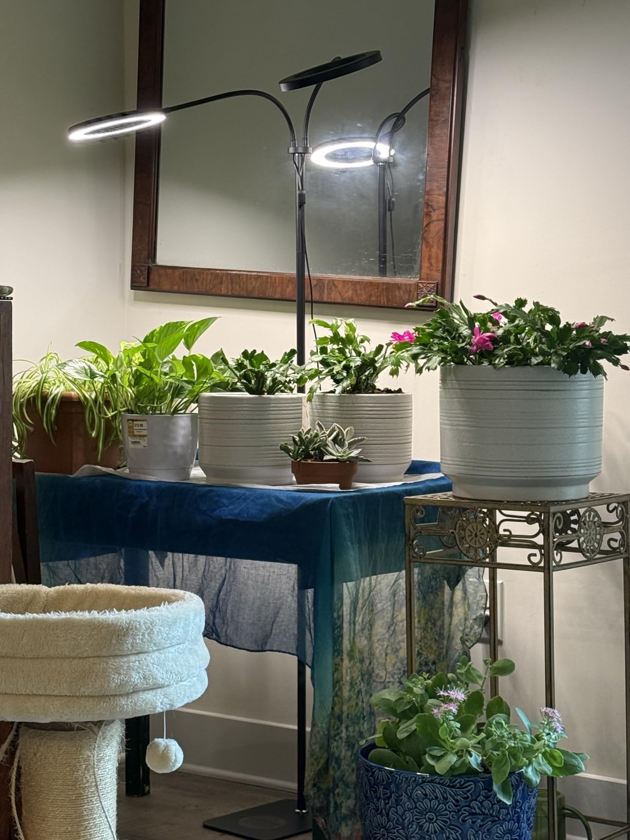 48W Grow Lights for Indoor Plants, Full Spectrum LED Plant Light with Stand customer photo 1