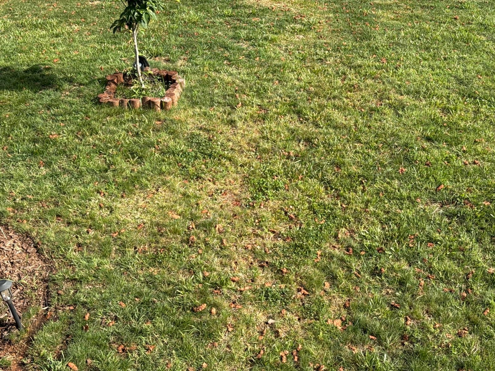 Manual Lawn Core Aerator for Compacted Soil with Non-Clogging Hollow Tines customer photo 2