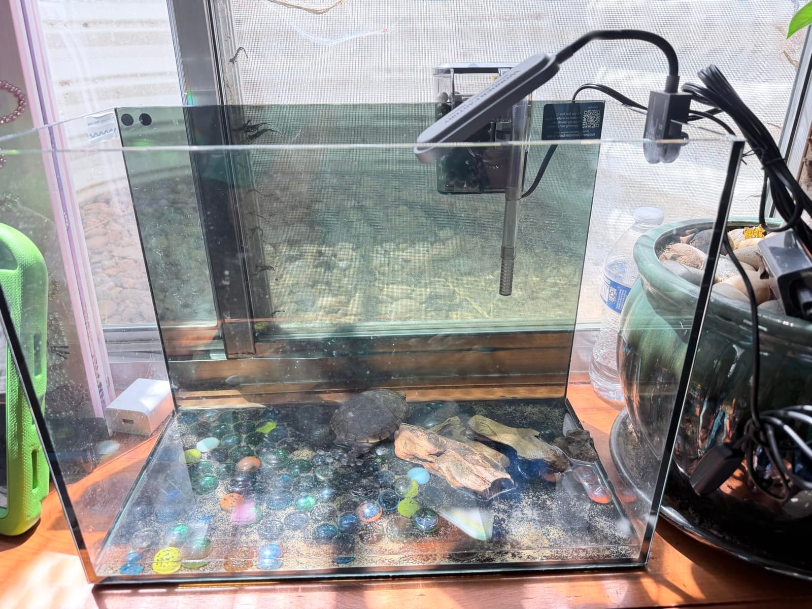 3 Gallon Small Fish Tank Glass Aquarium Set, Starter Kit with Heater Water Pump Cleaning Filter Bright Light Rocks Gravel Cleaning Tool, Leak-Proof Clear Rimless Desktop Spaces Saving Betta Fish customer photo 2